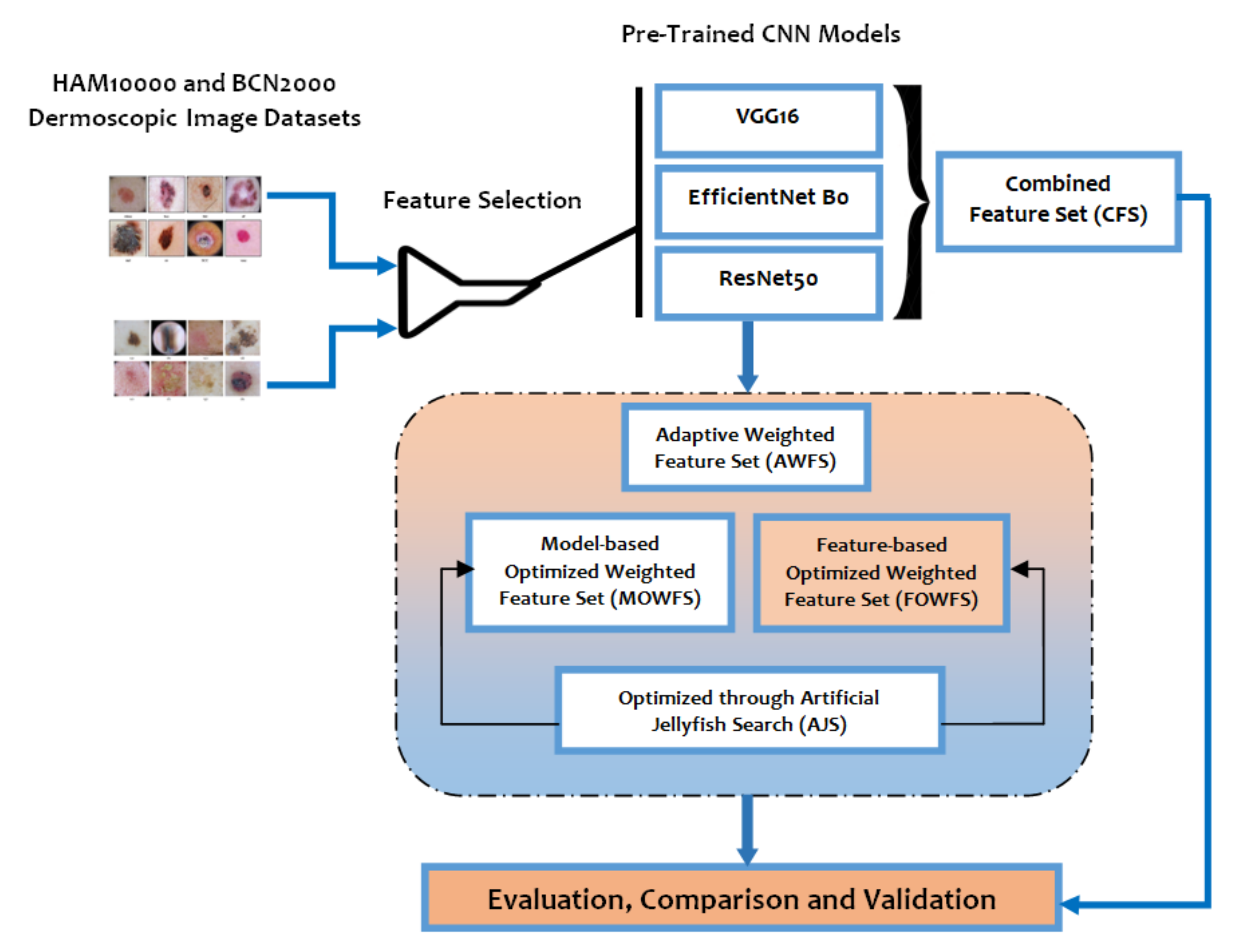 Cancers 14 05716 g003
