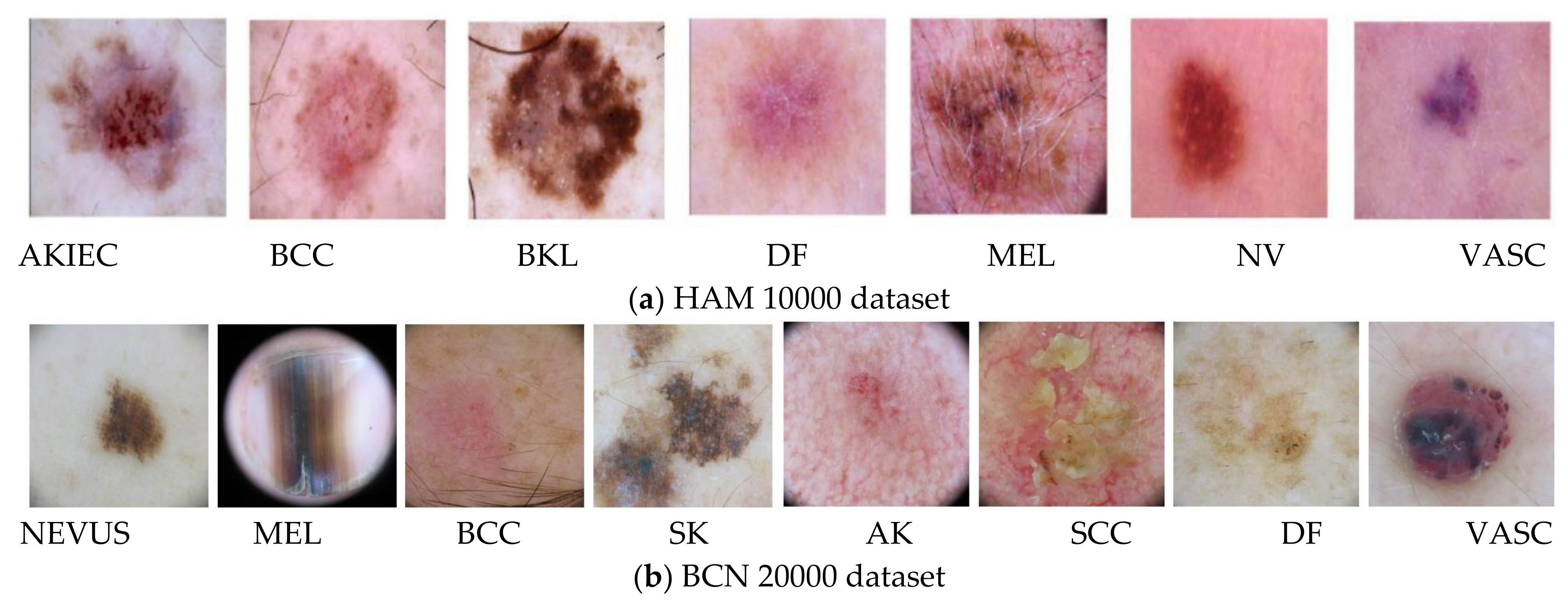 Cancers 14 05716 g005