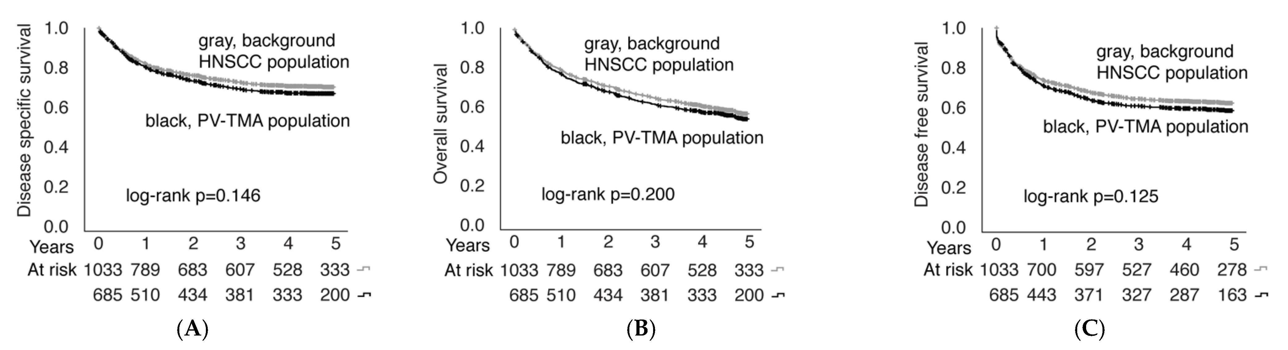 Cancers 14 05717 g005