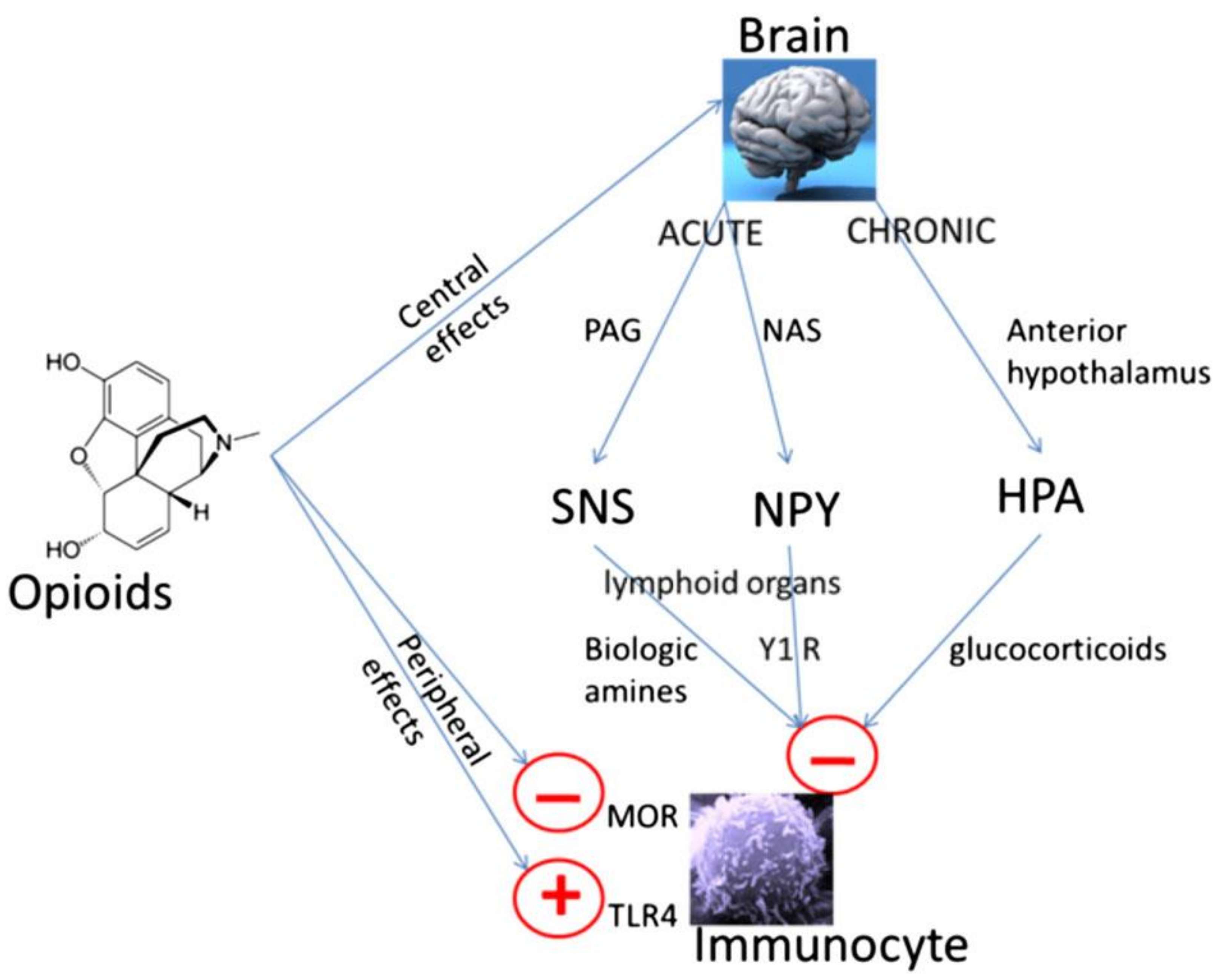 Cancers 14 05720 g001