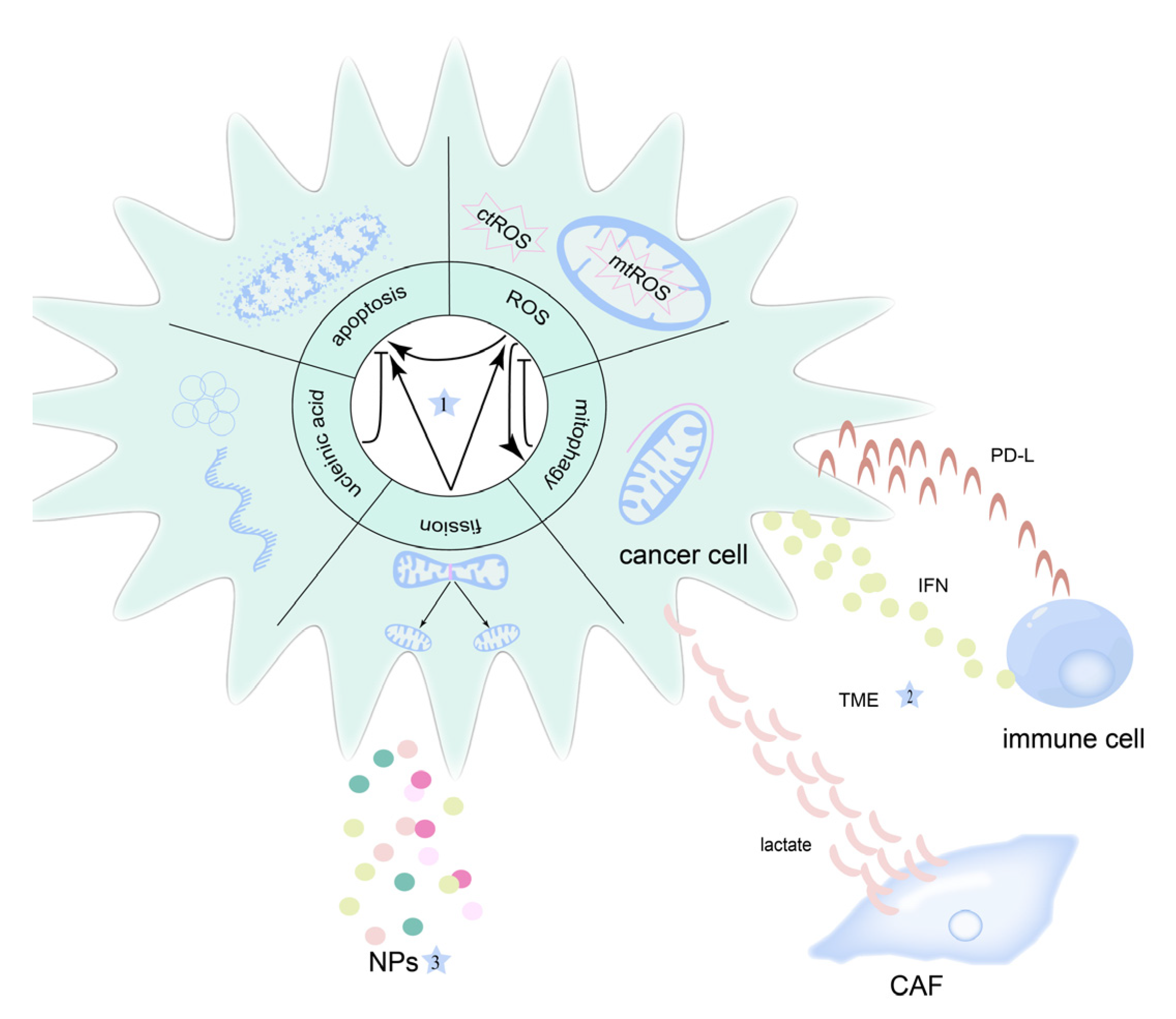 Cancers 14 05723 g001 Cancers 14 05723 g001