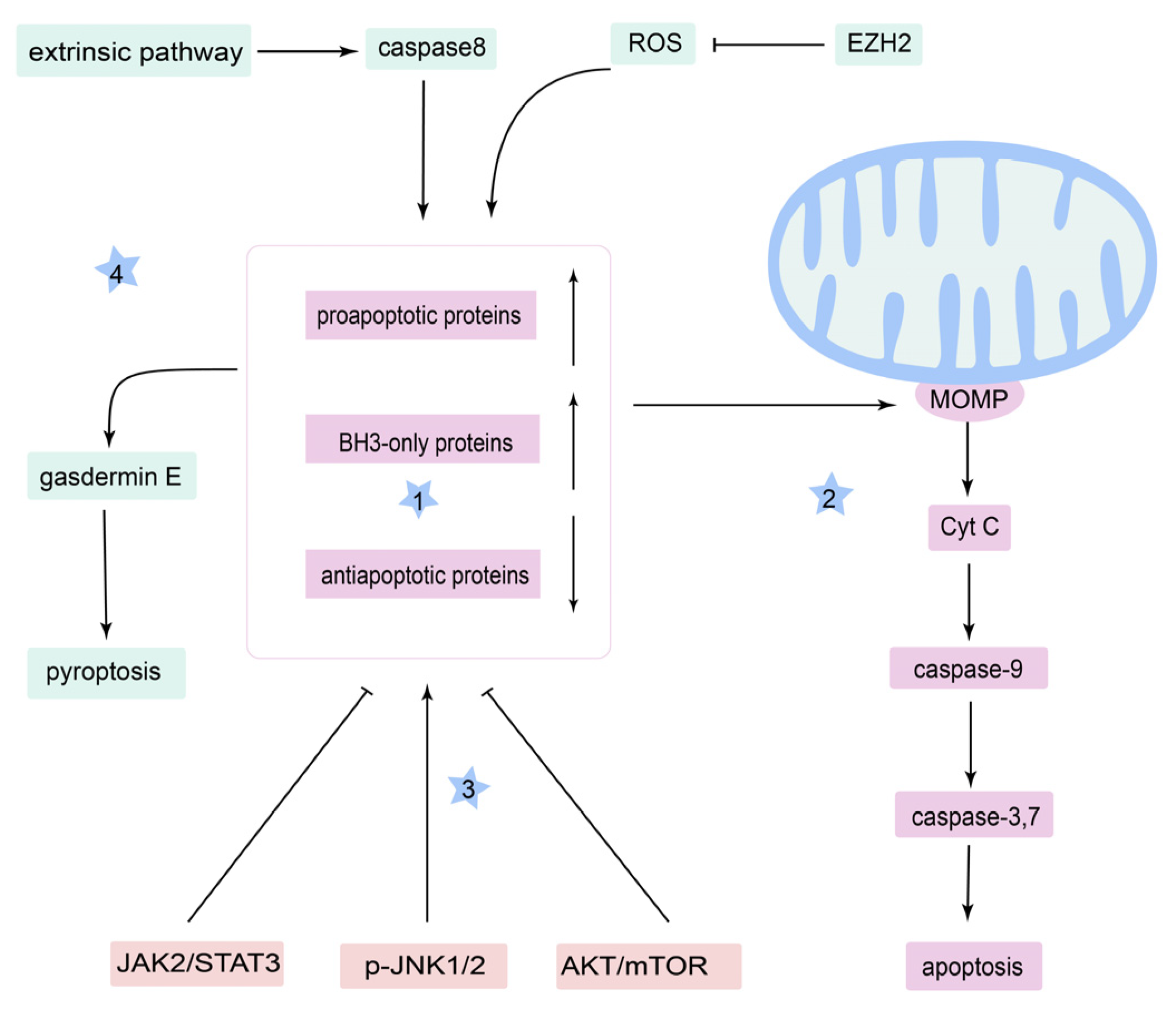 Cancers 14 05723 g002 Cancers 14 05723 g002