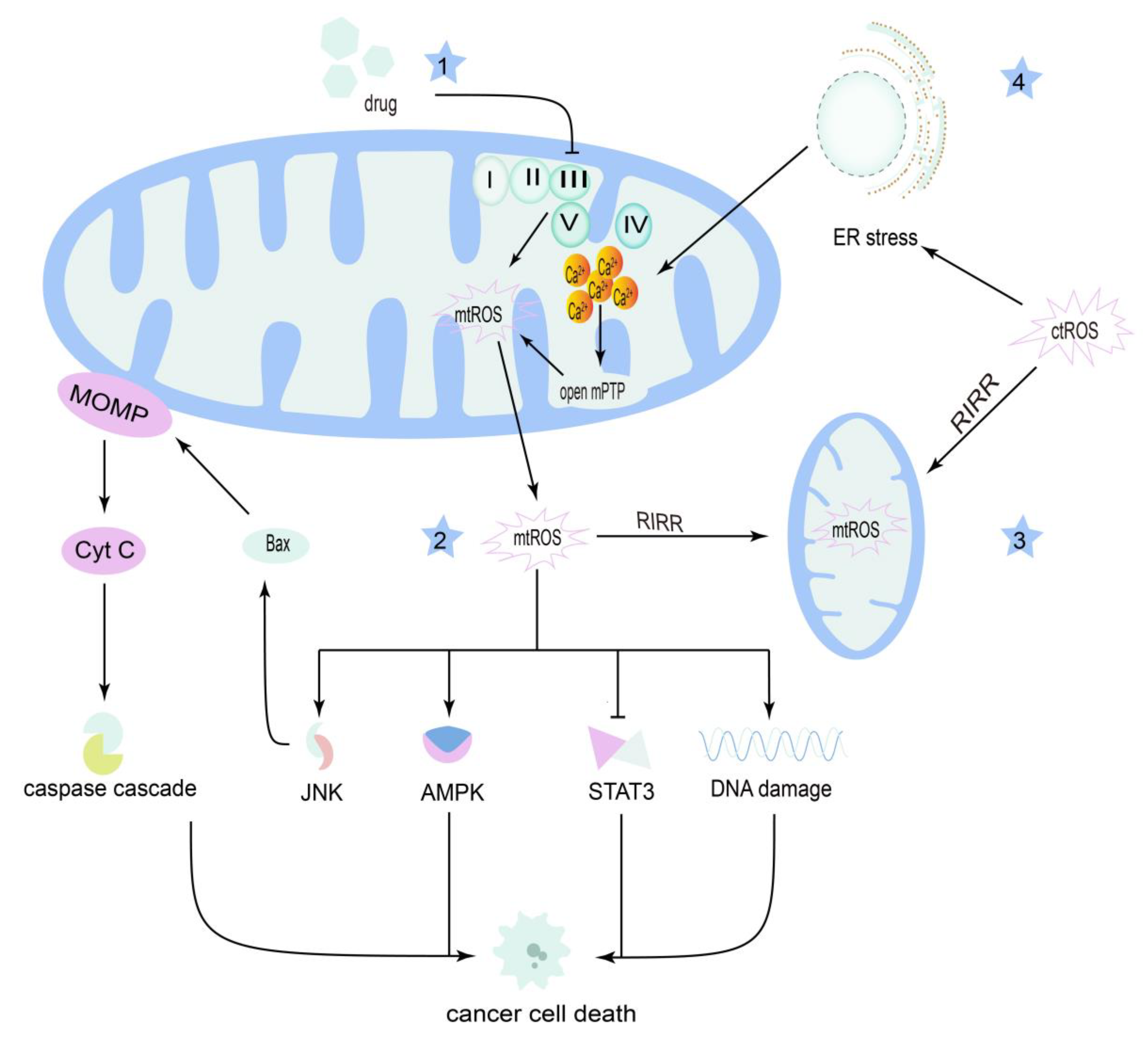 Cancers 14 05723 g003 Cancers 14 05723 g003