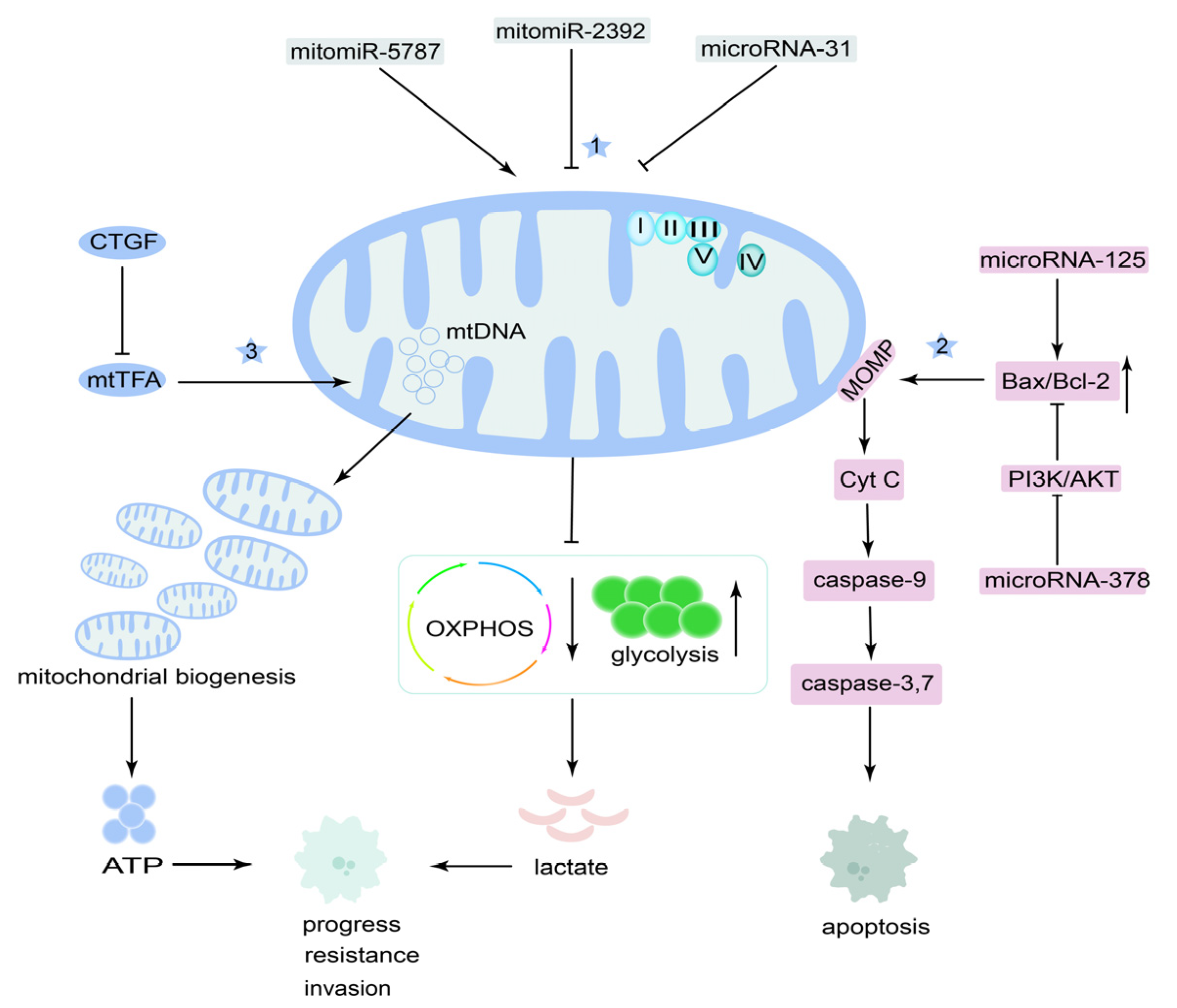 Cancers 14 05723 g006 Cancers 14 05723 g006