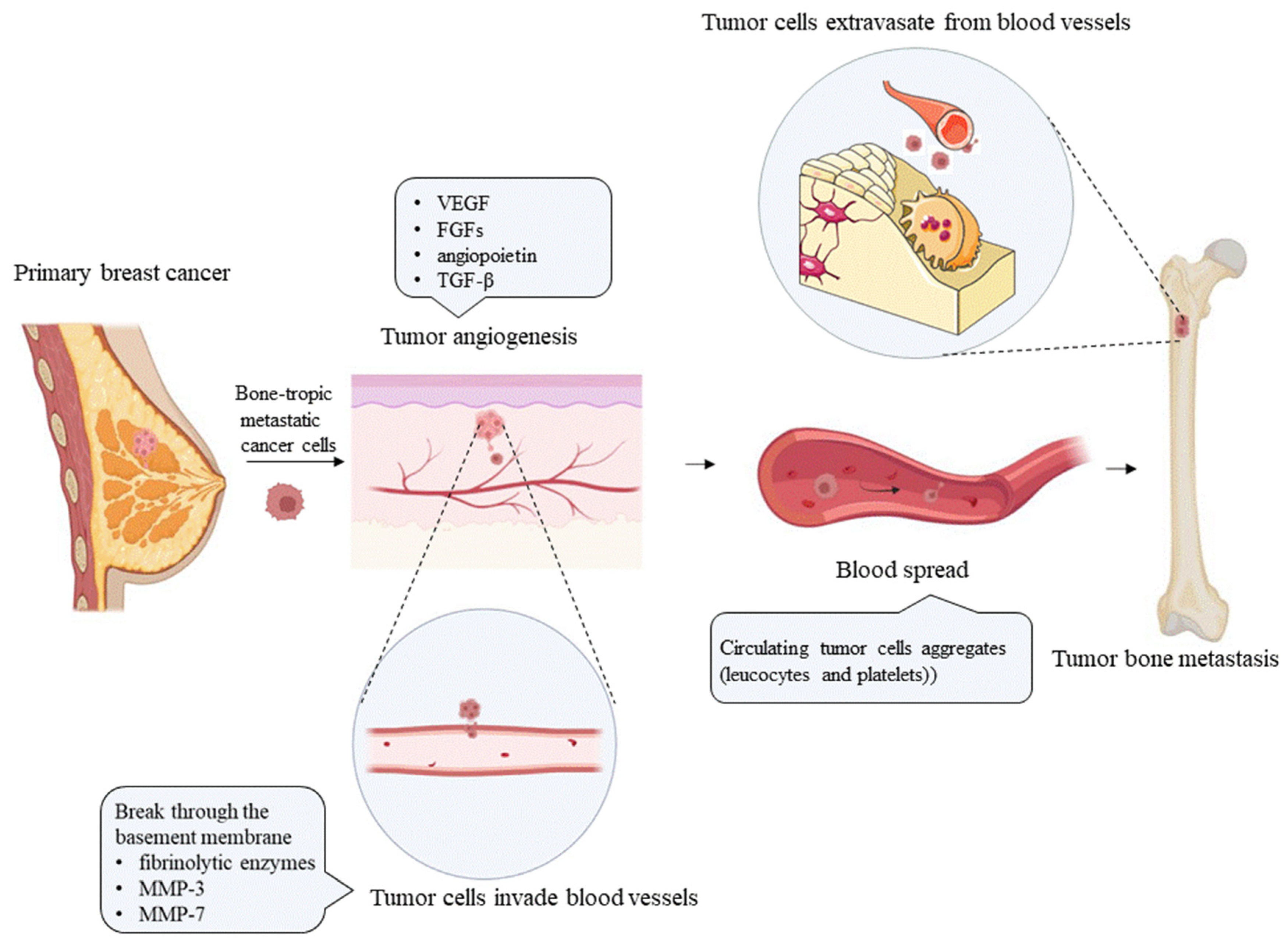 Cancers 14 05727 g001