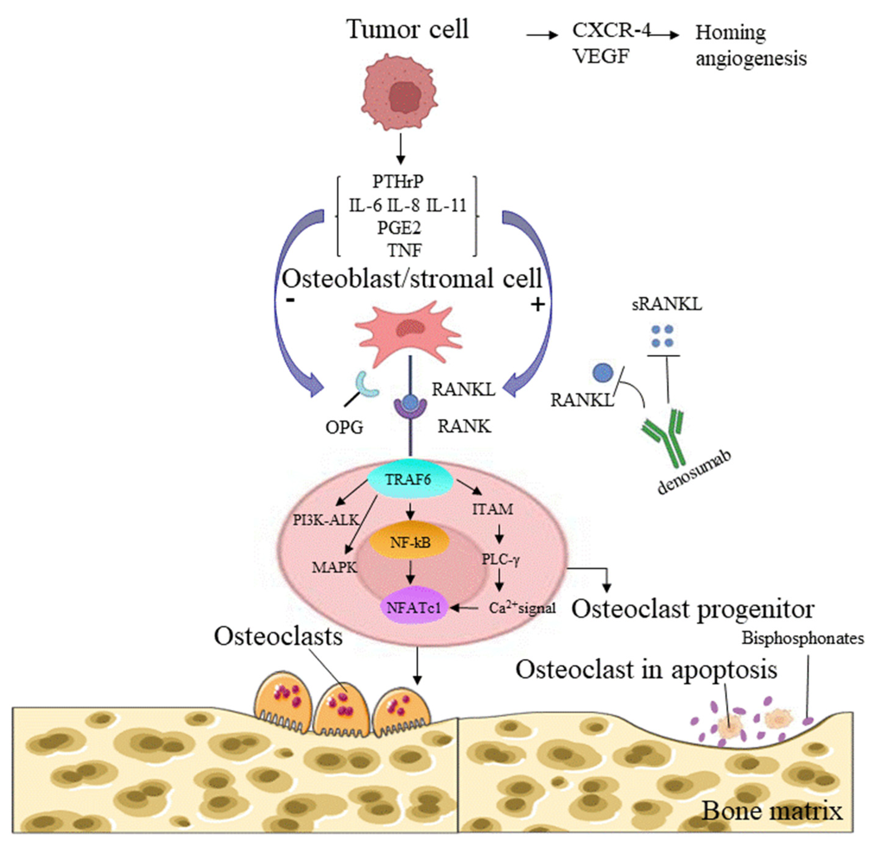 Cancers 14 05727 g002