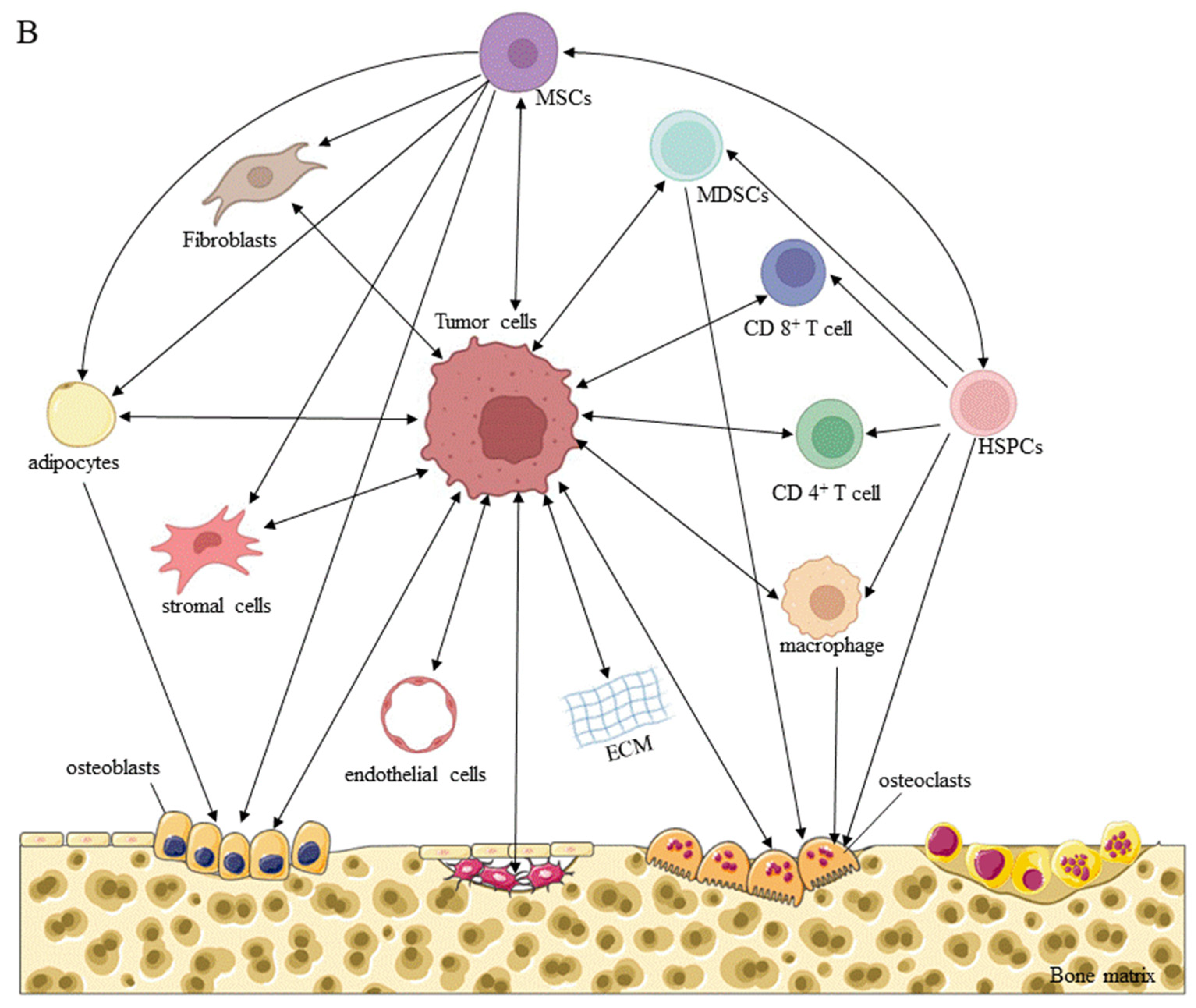 Cancers 14 05727 g003b