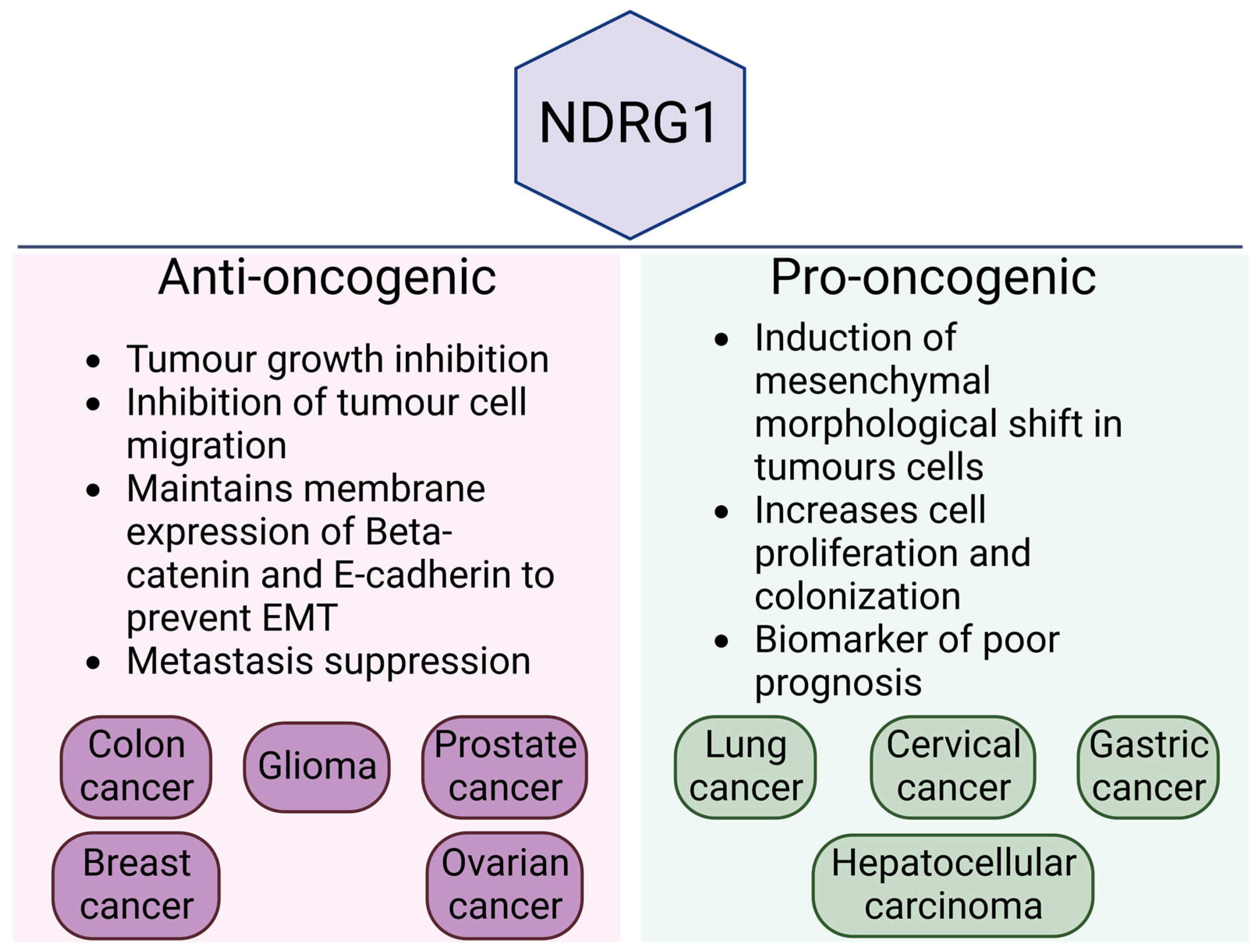 Cancers 14 05739 g003