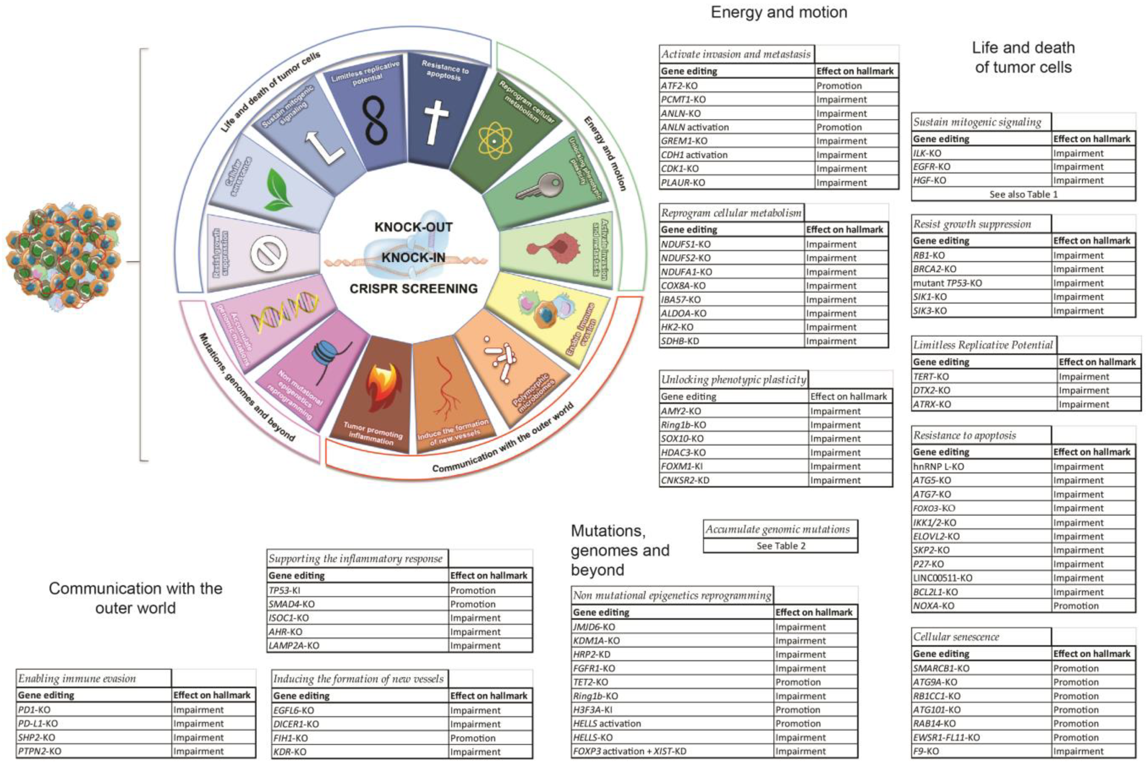 Cancers 14 05746 g001