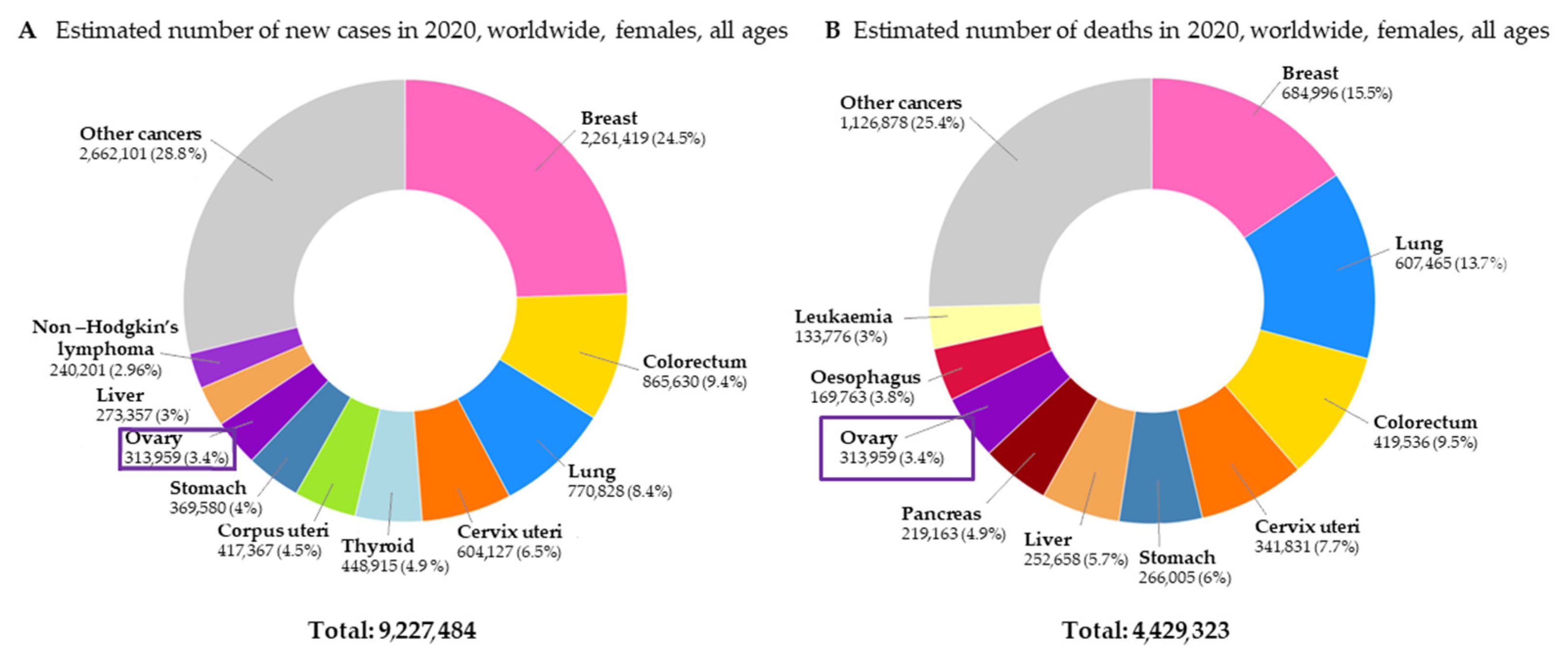 Cancers 14 05757 g001