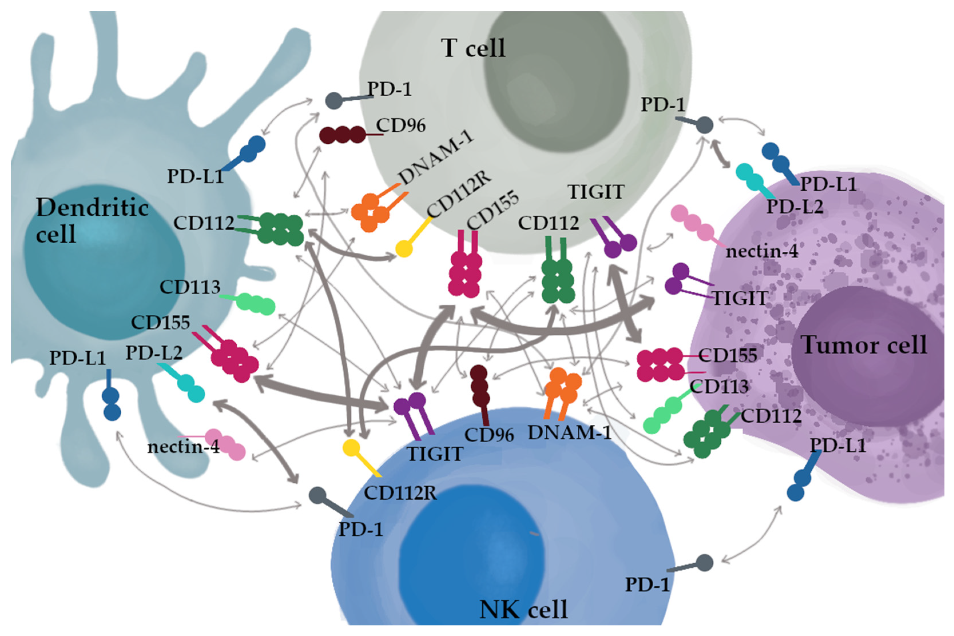 Cancers 14 05757 g002