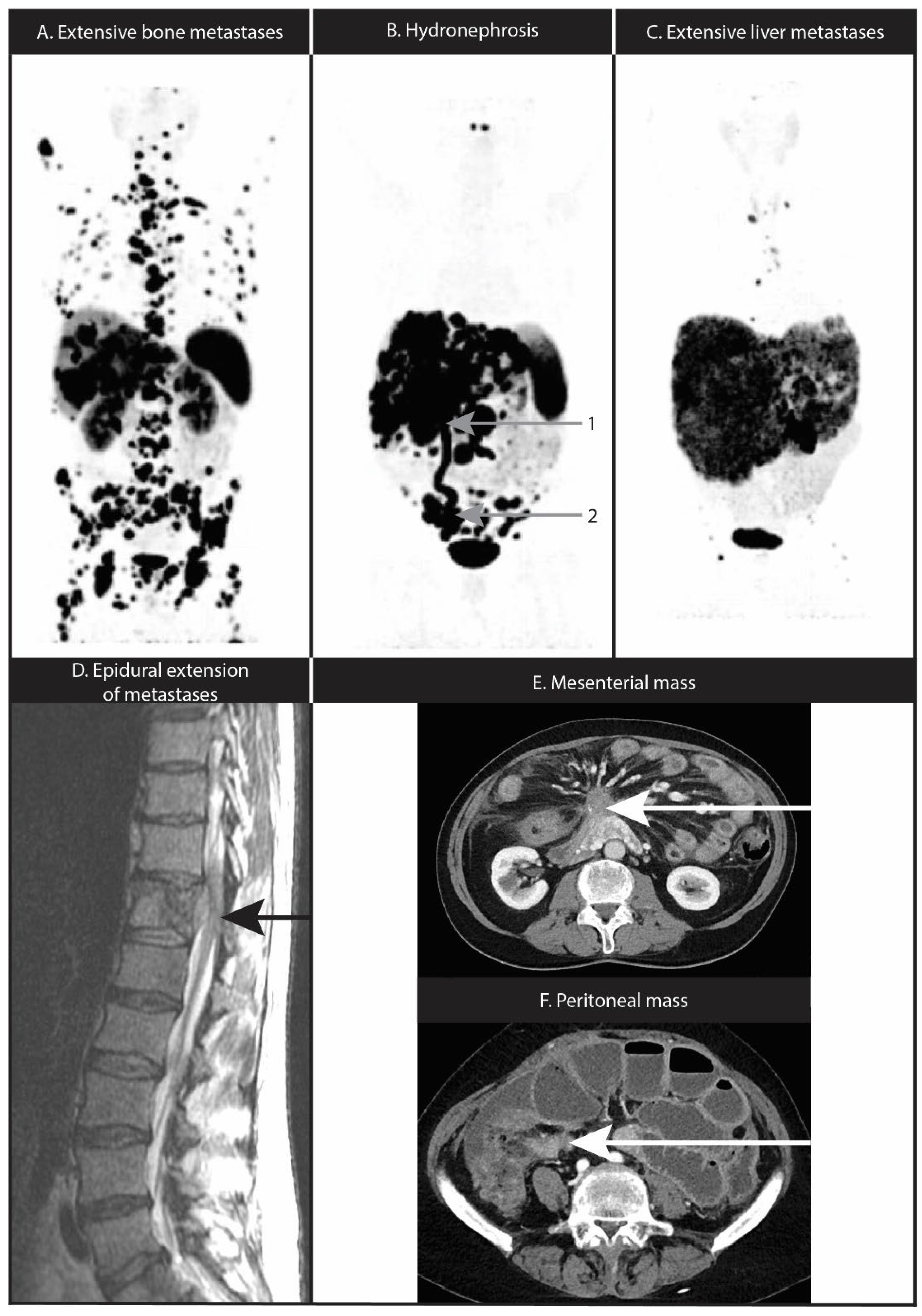 Cancers 14 05792 g002