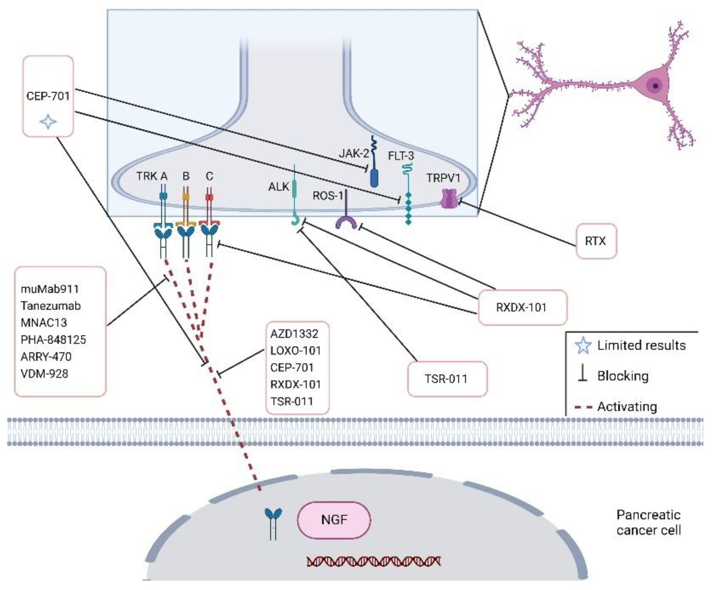 Cancers 14 05793 g004
