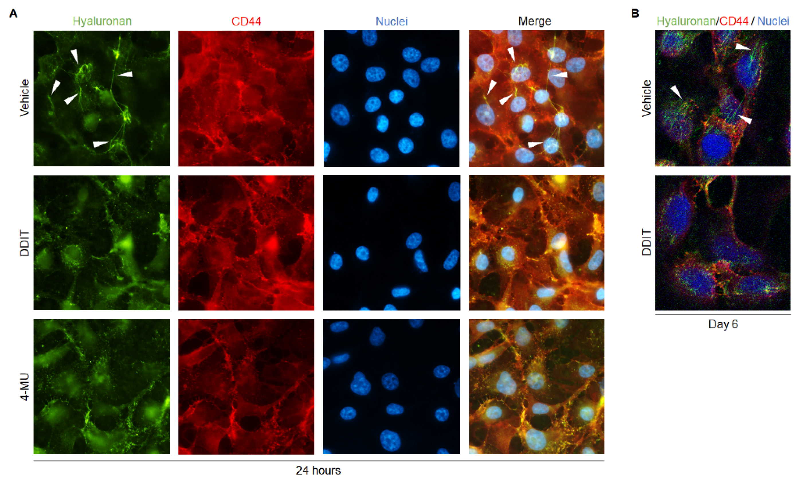Cancers 14 05800 g005