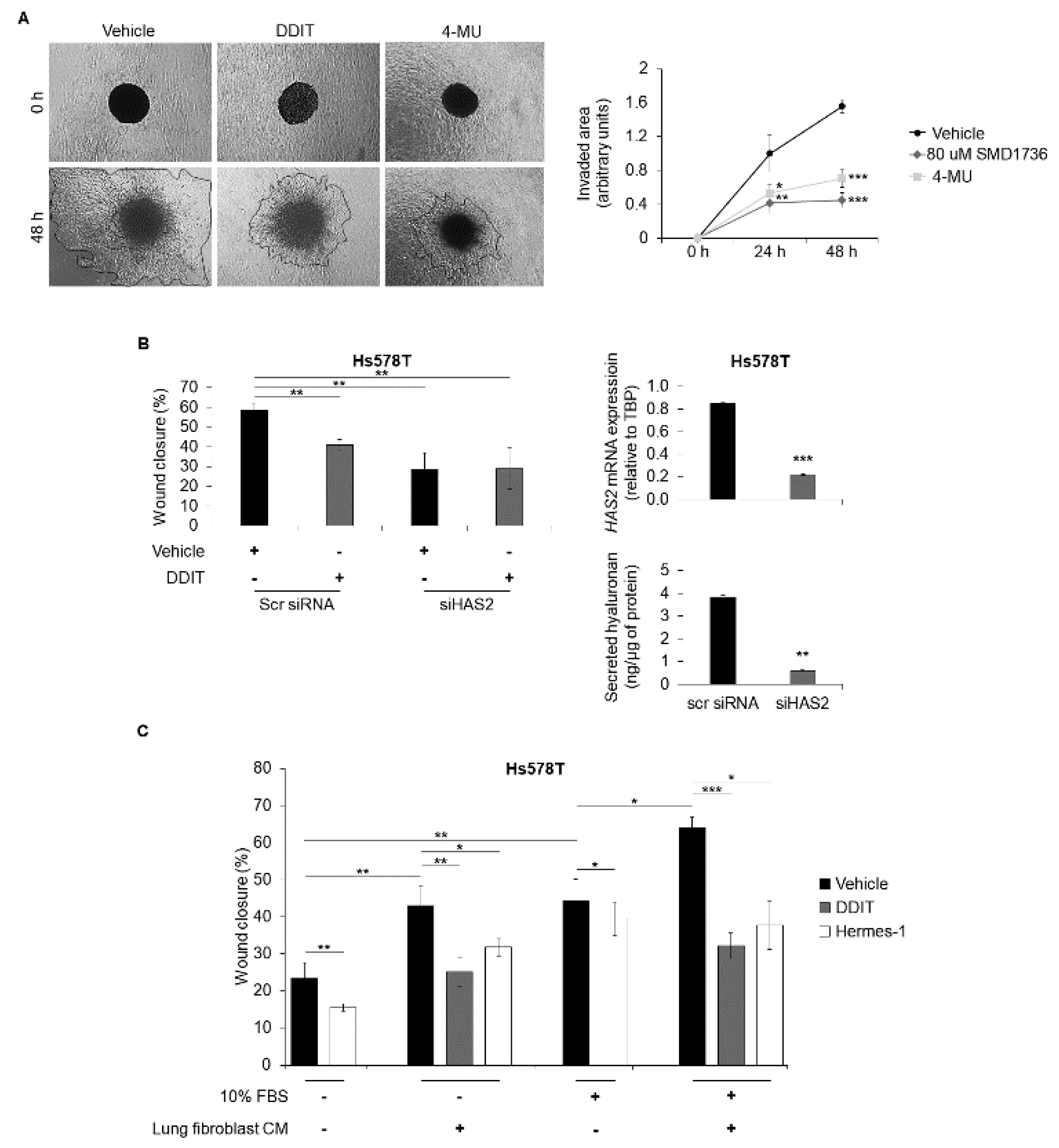 Cancers 14 05800 g007