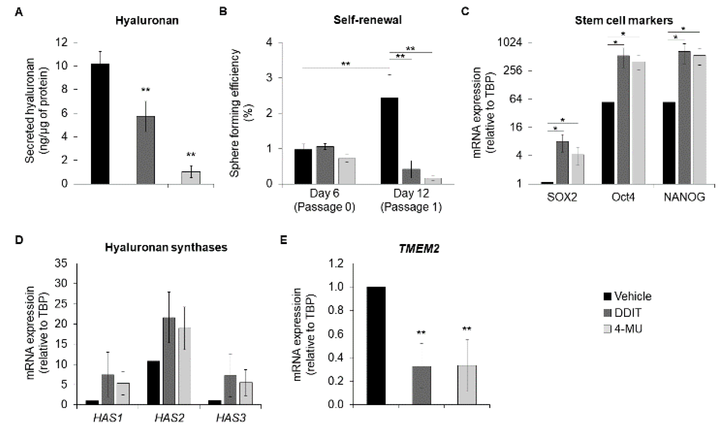 Cancers 14 05800 g009