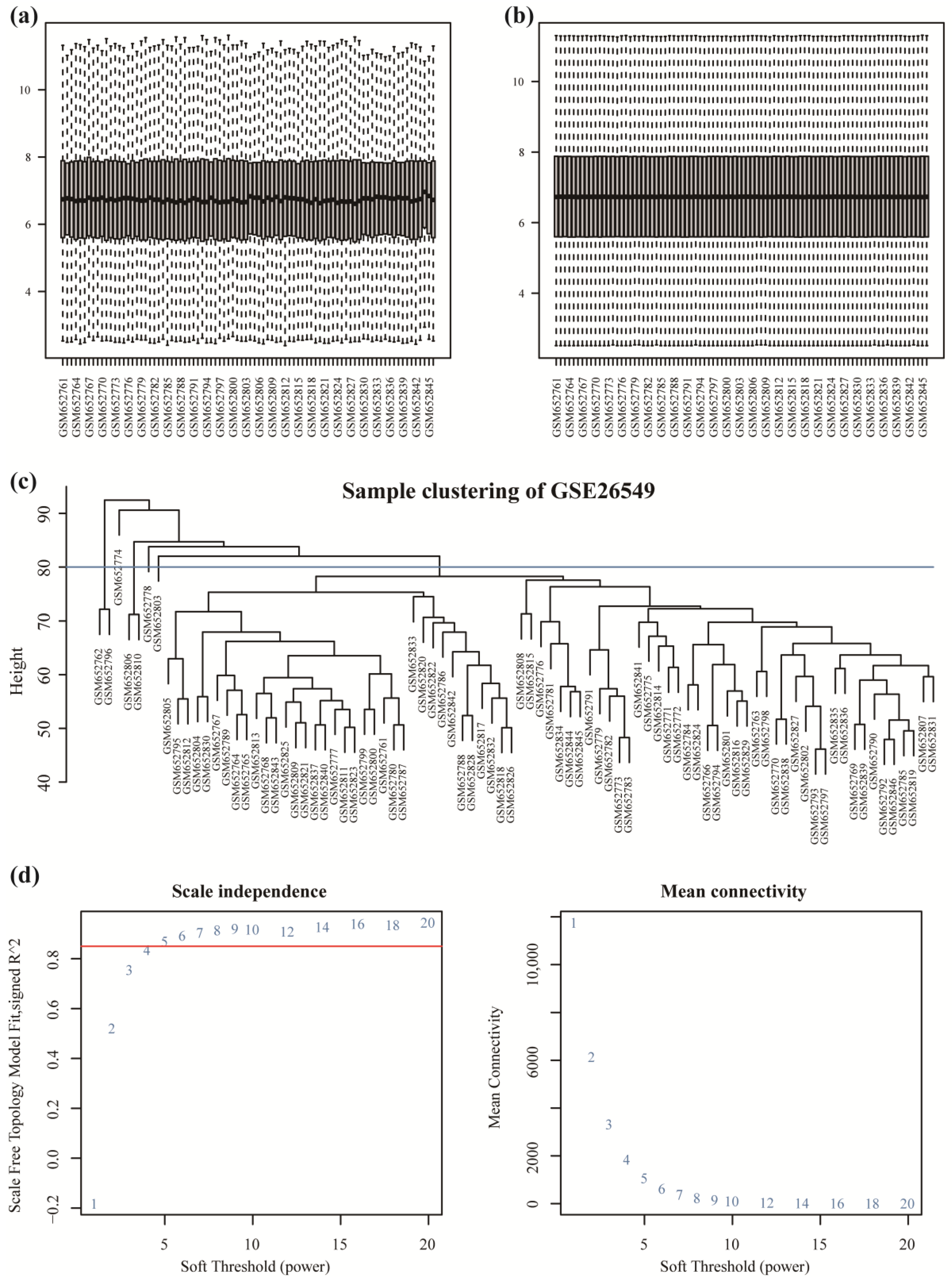 Cancers 14 05808 g001