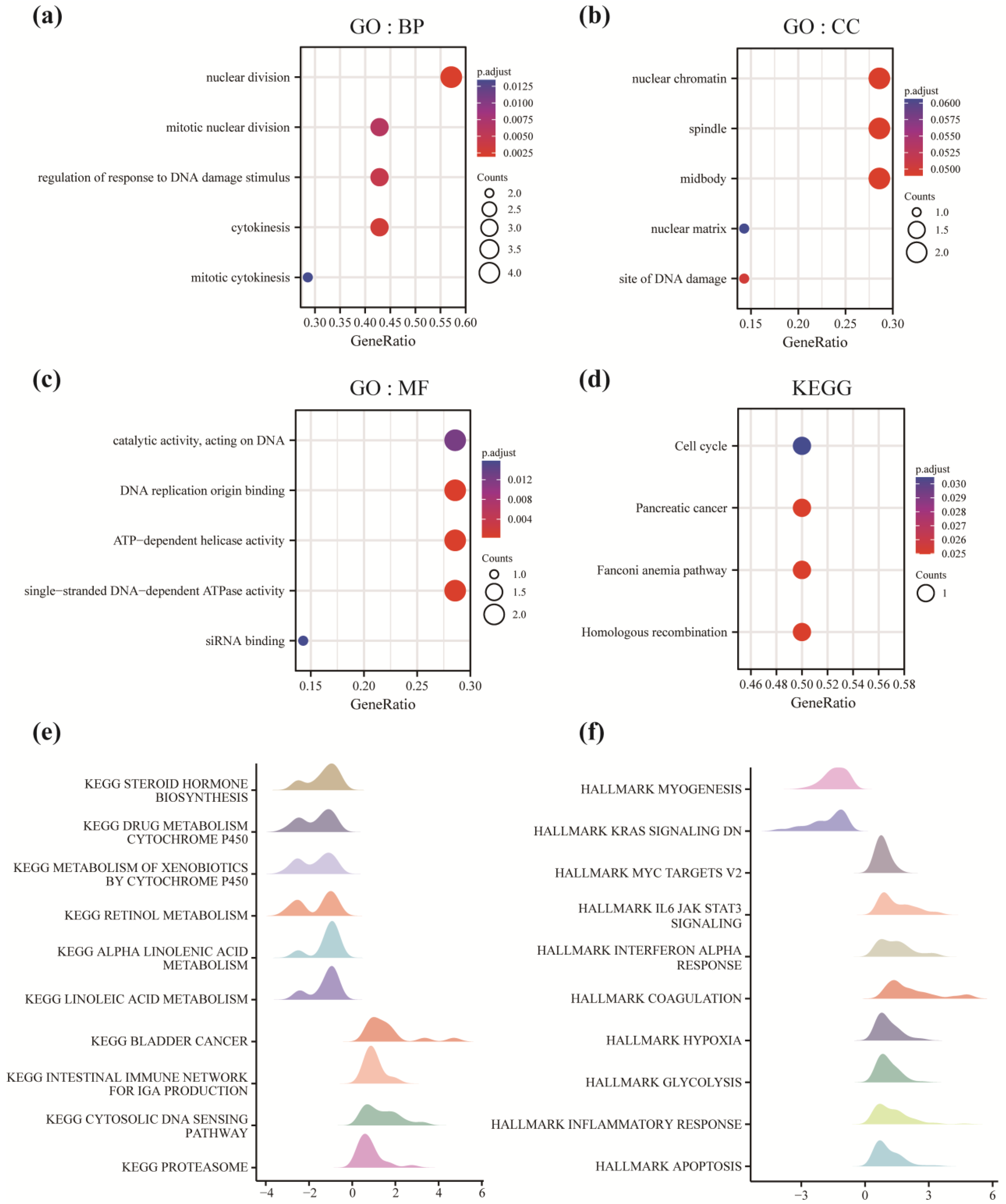 Cancers 14 05808 g004