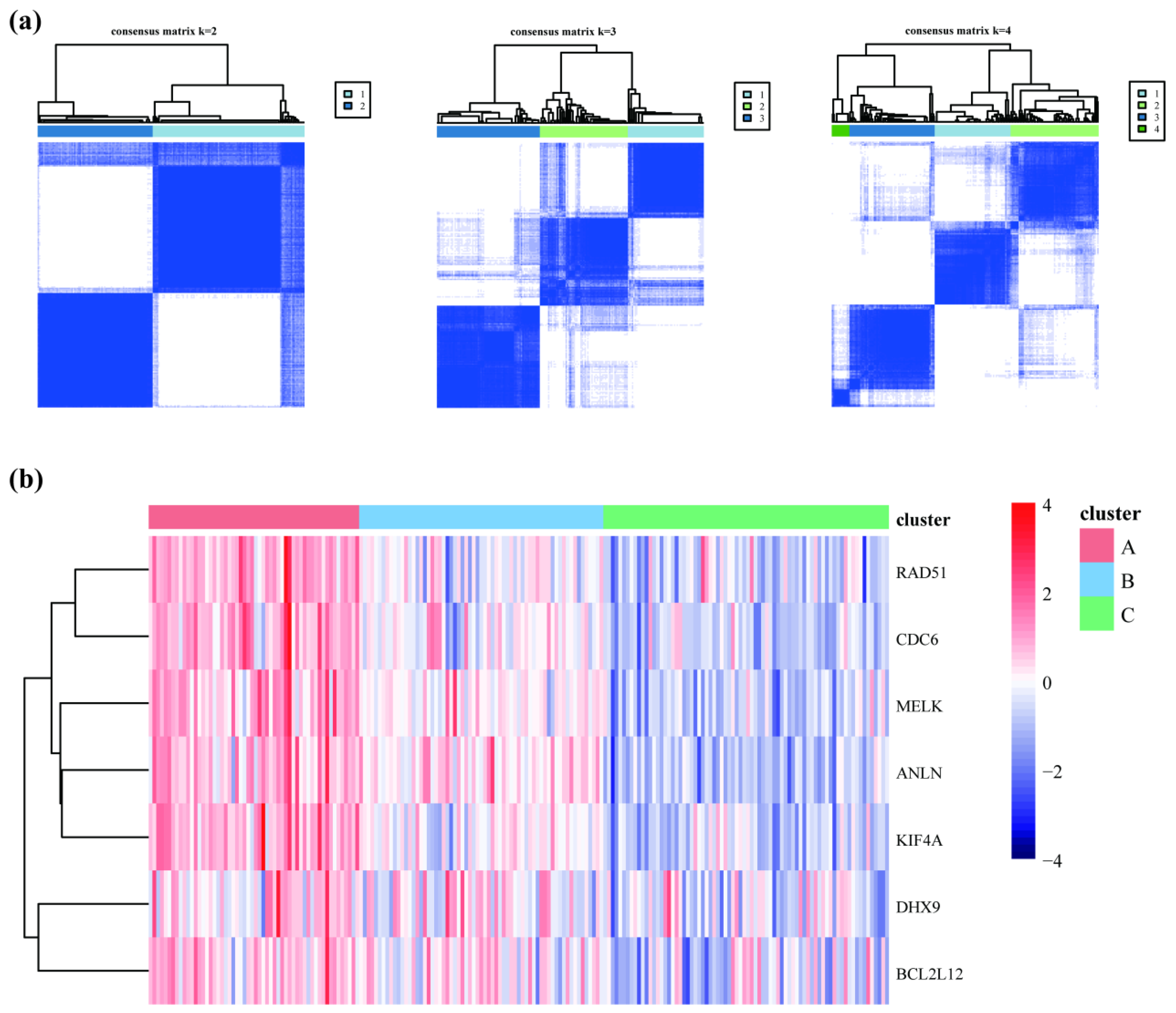 Cancers 14 05808 g005