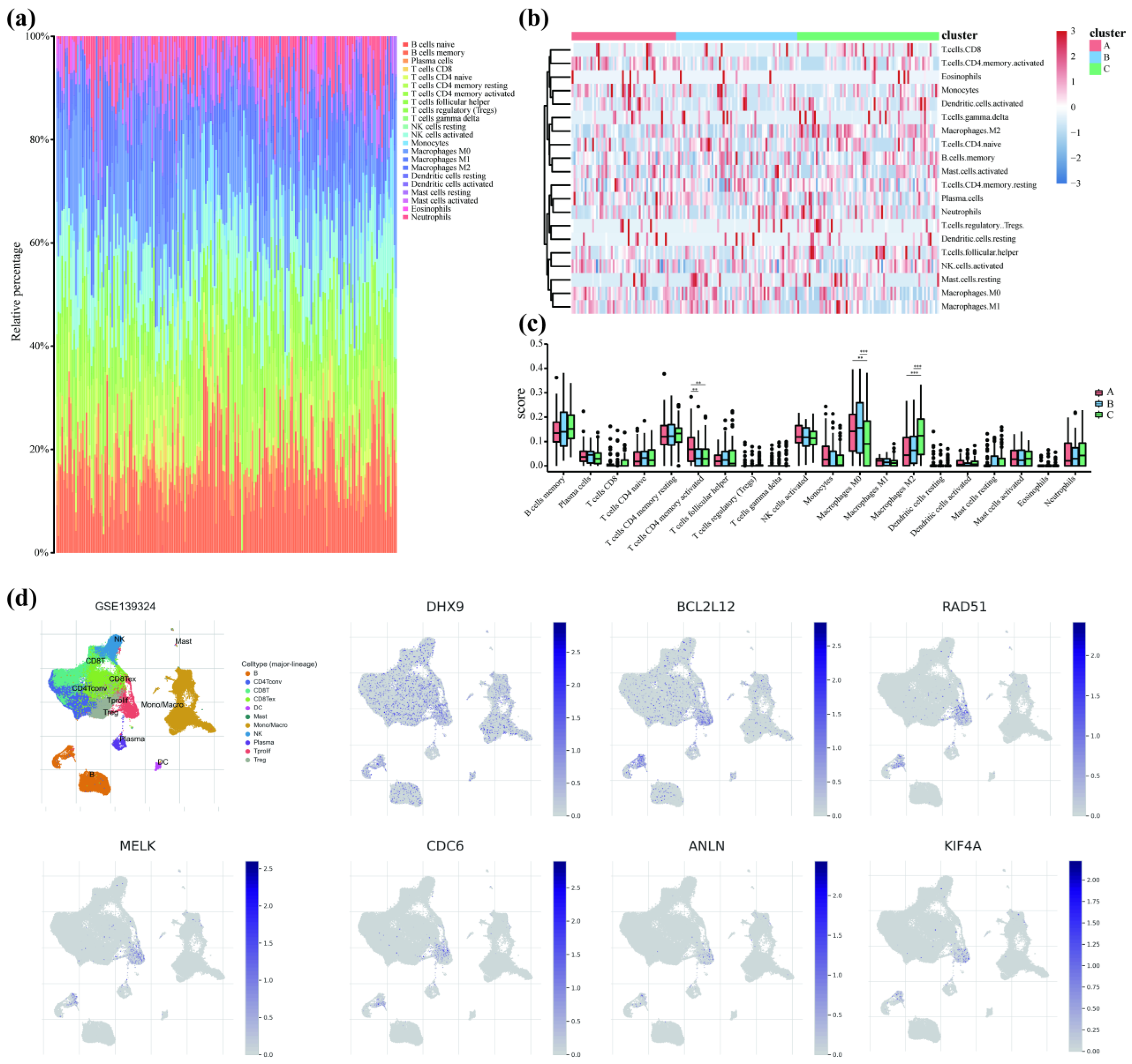 Cancers 14 05808 g006