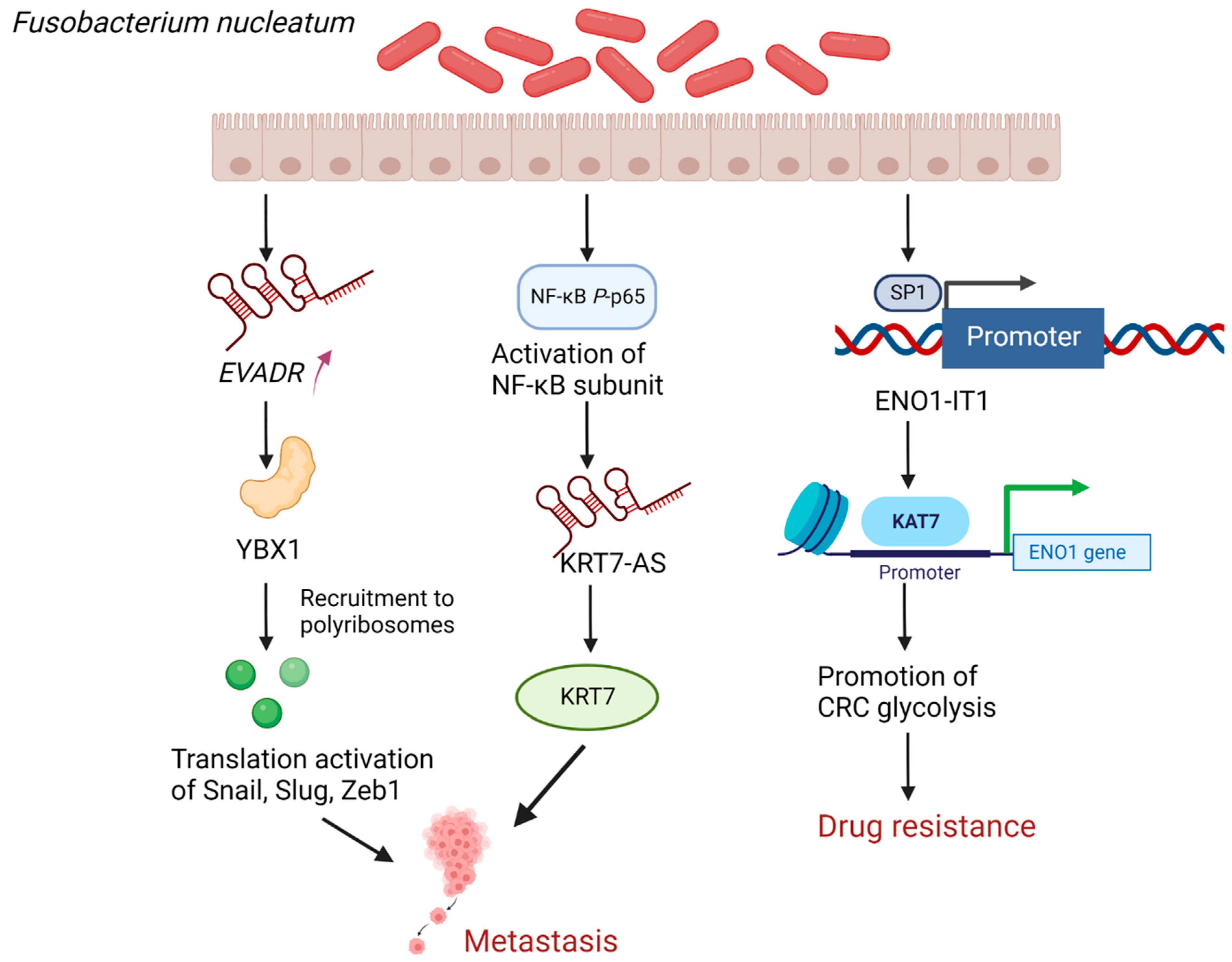 Cancers 14 05813 g002