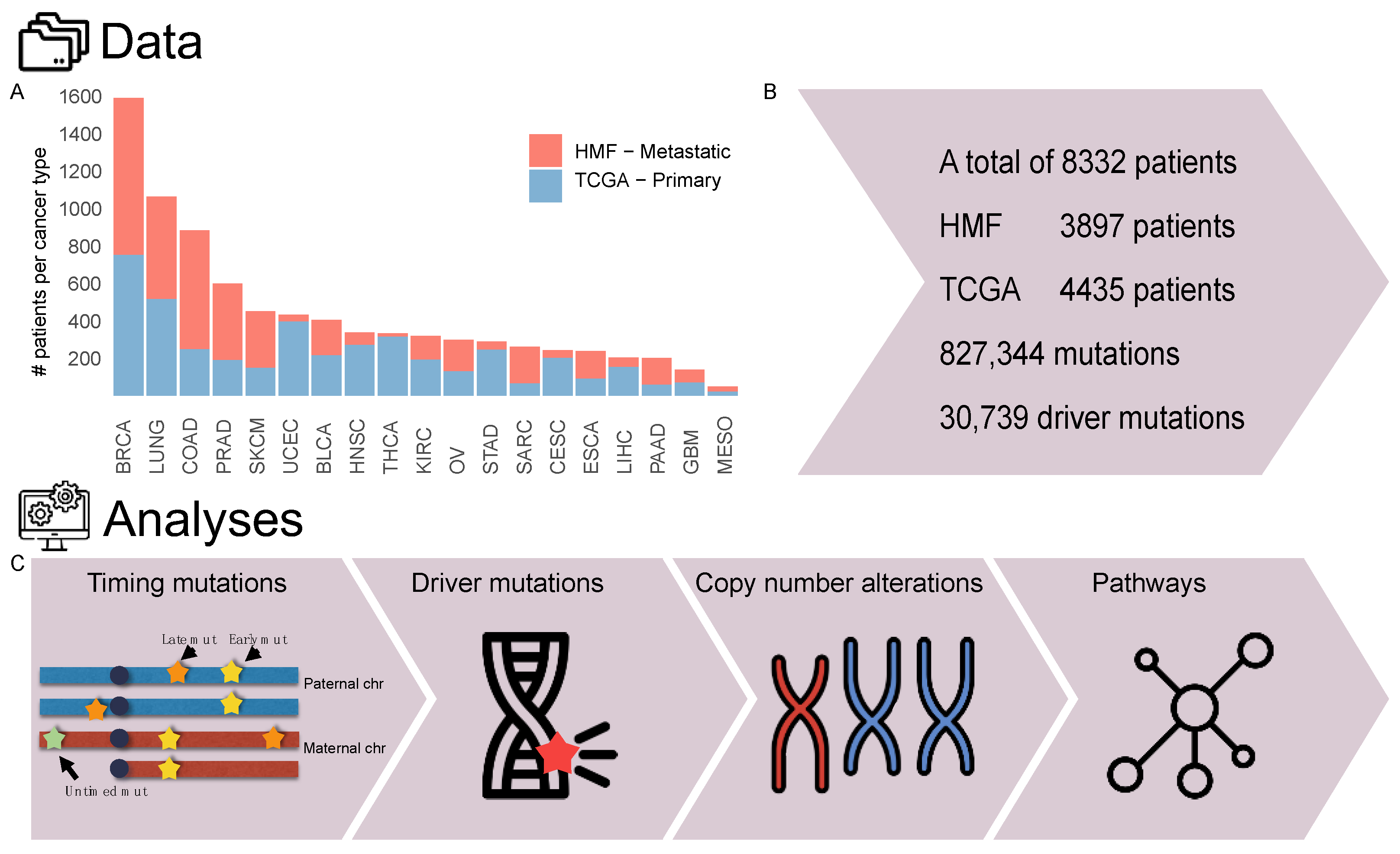 Cancers 14 05817 g001