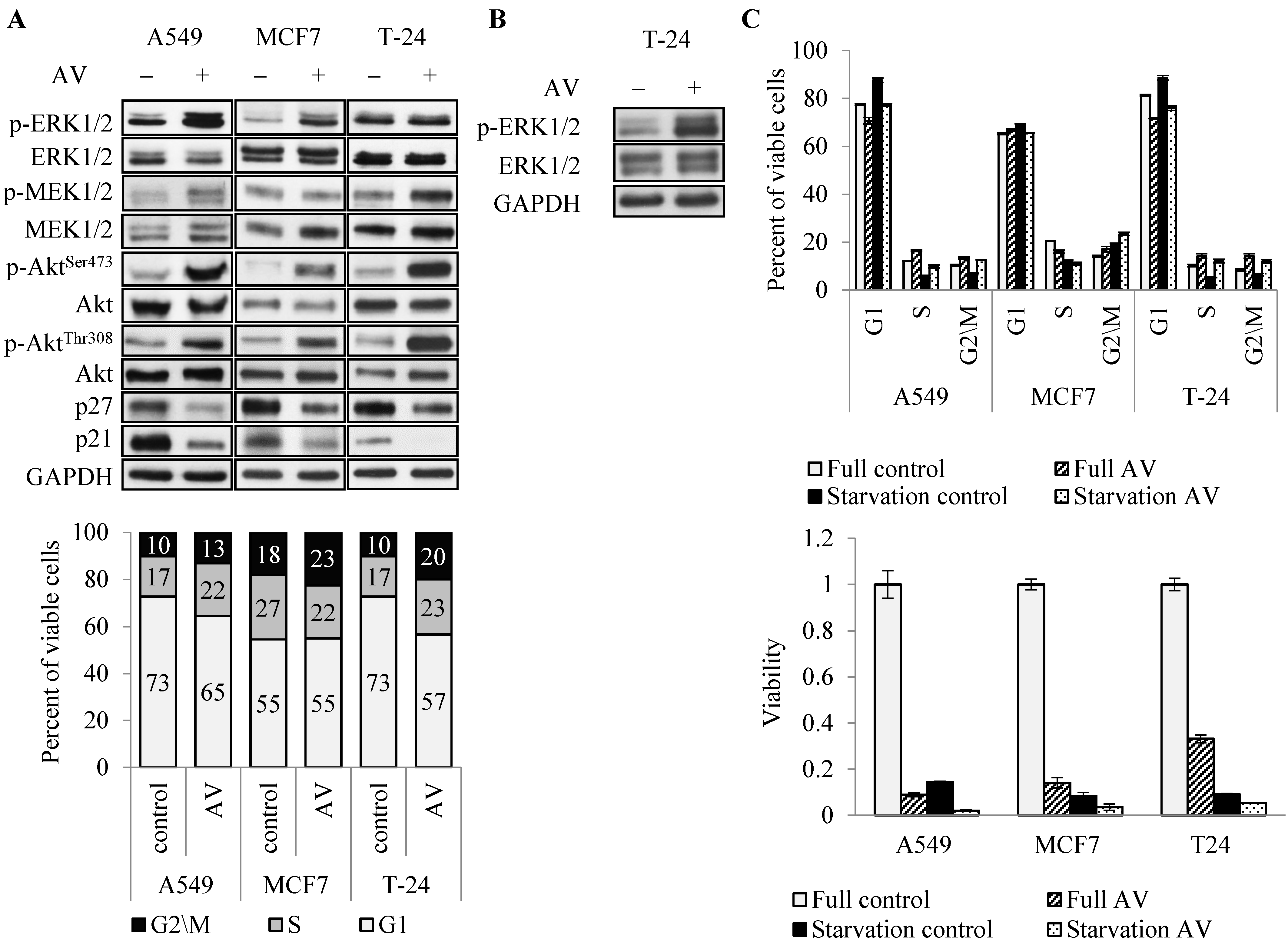 Cancers 14 05833 g004 Cancers 14 05833 g004