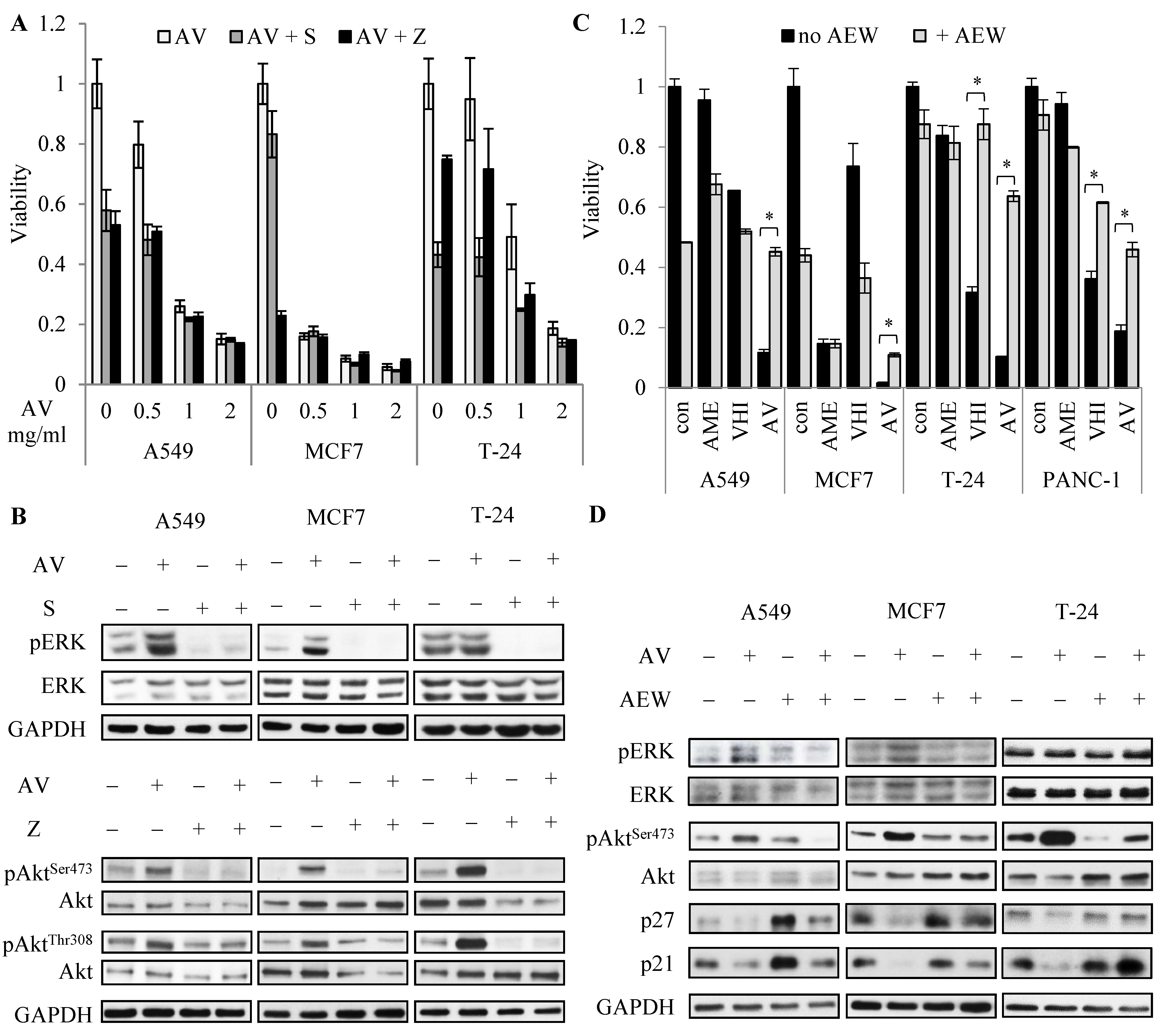 Cancers 14 05833 g005 Cancers 14 05833 g005