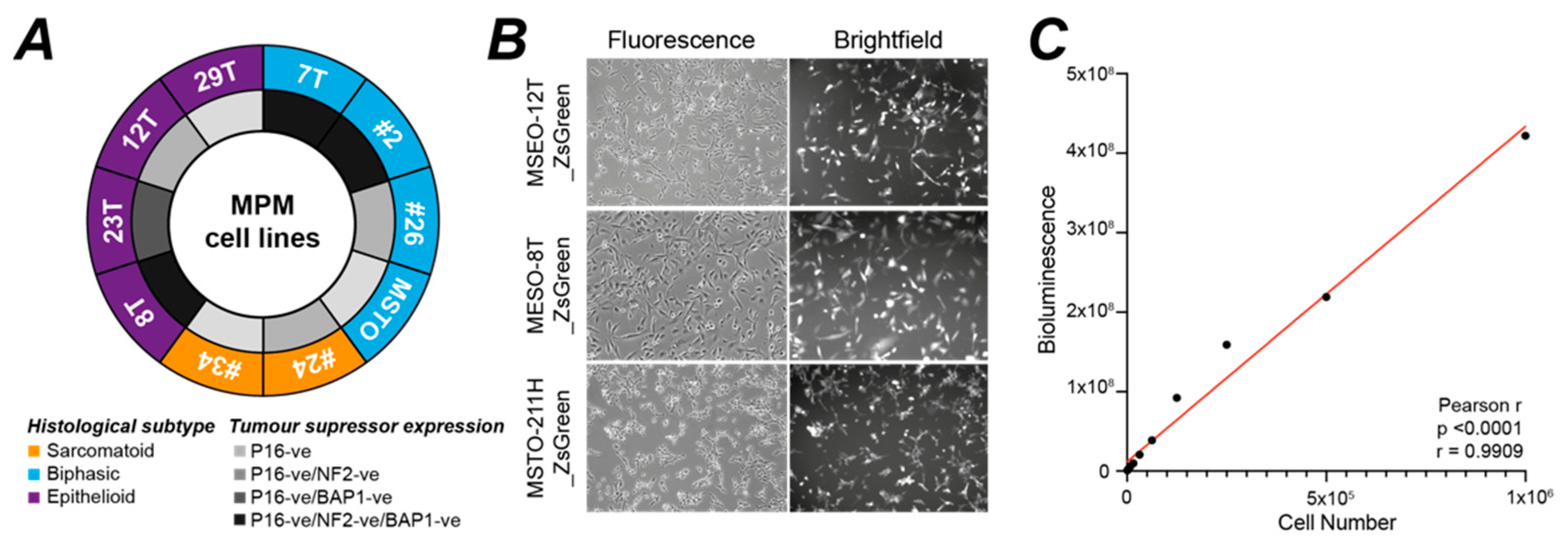 Cancers 14 05836 g001 Cancers 14 05836 g001