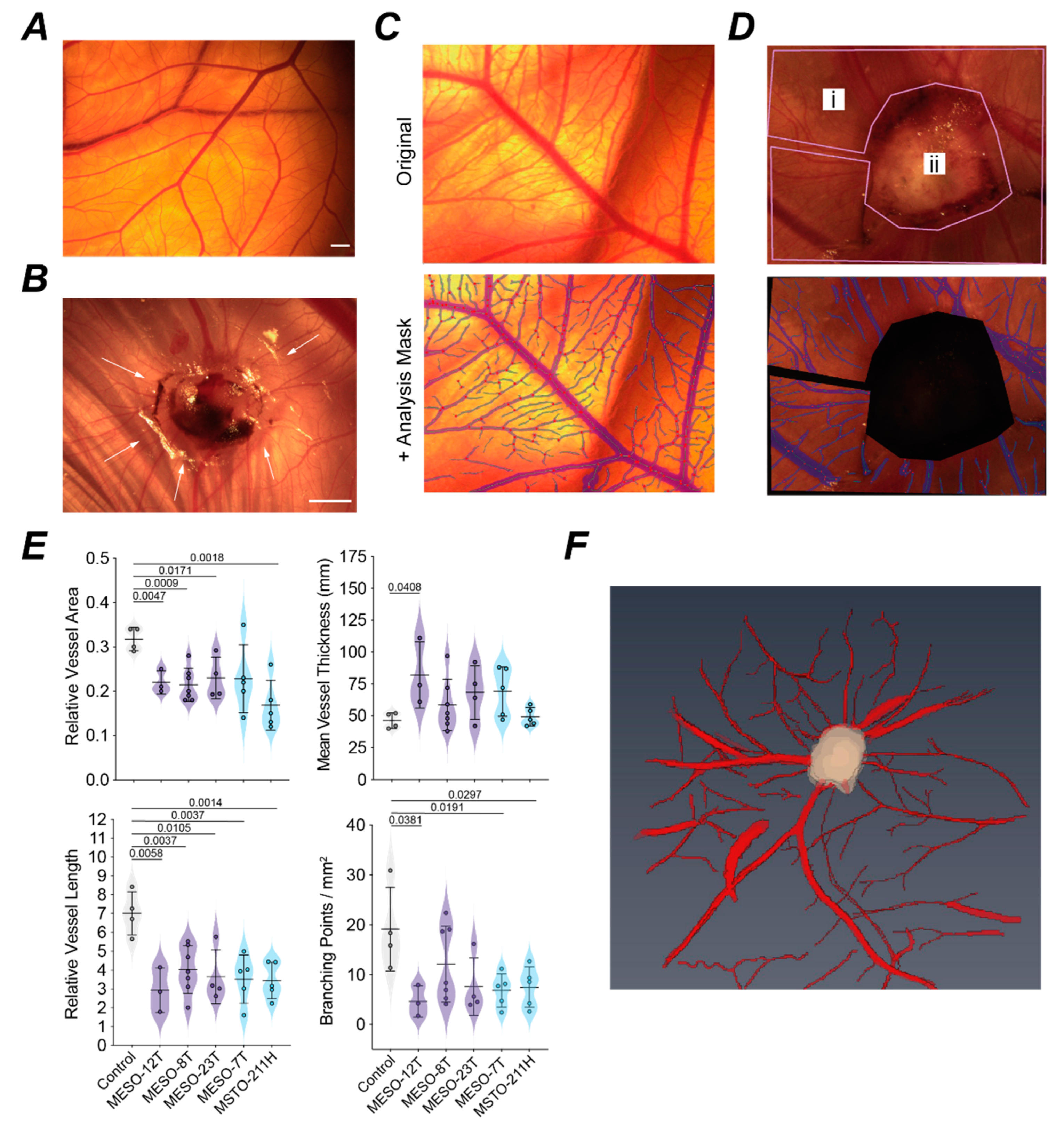 Cancers 14 05836 g007 Cancers 14 05836 g007