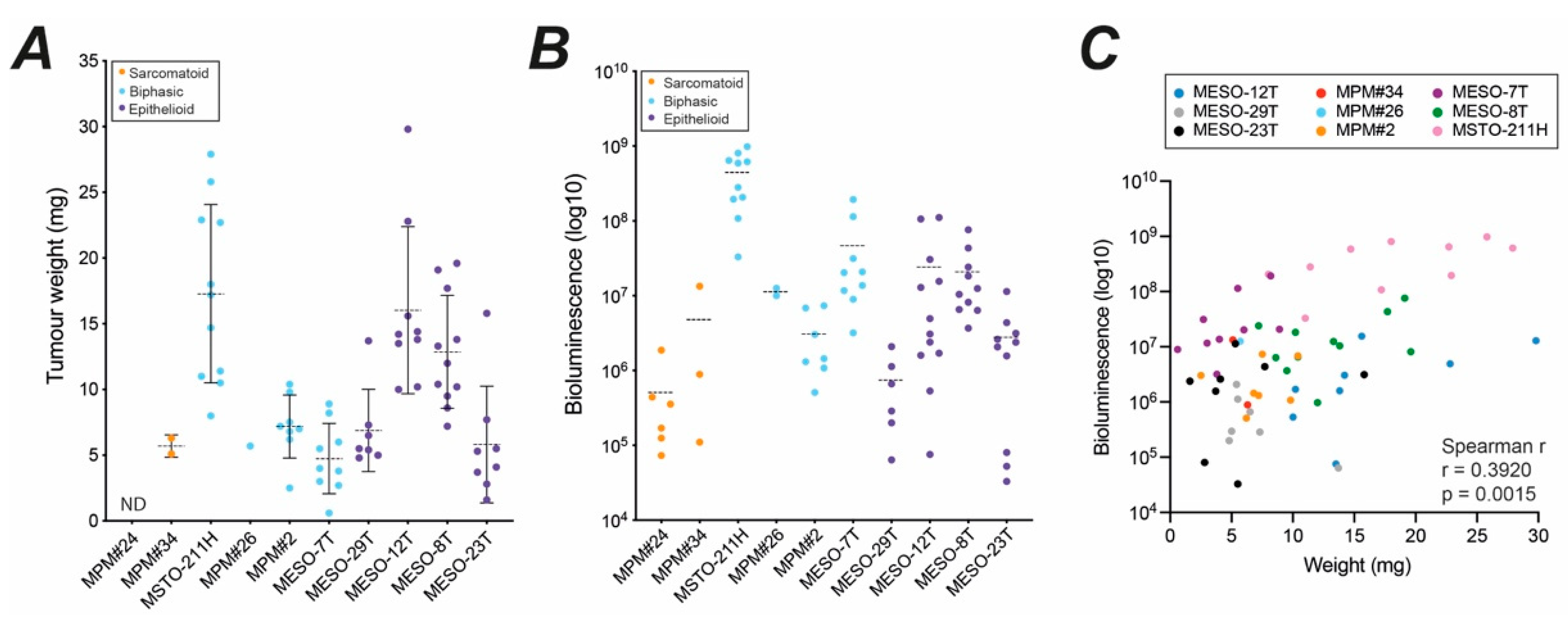 Cancers 14 05836 g008 Cancers 14 05836 g008