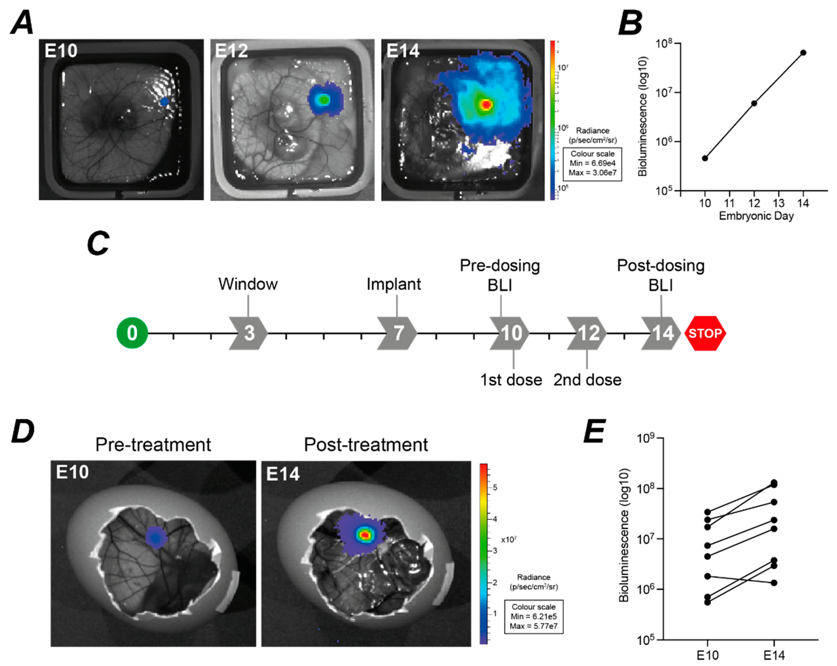 Cancers 14 05836 g010 Cancers 14 05836 g010