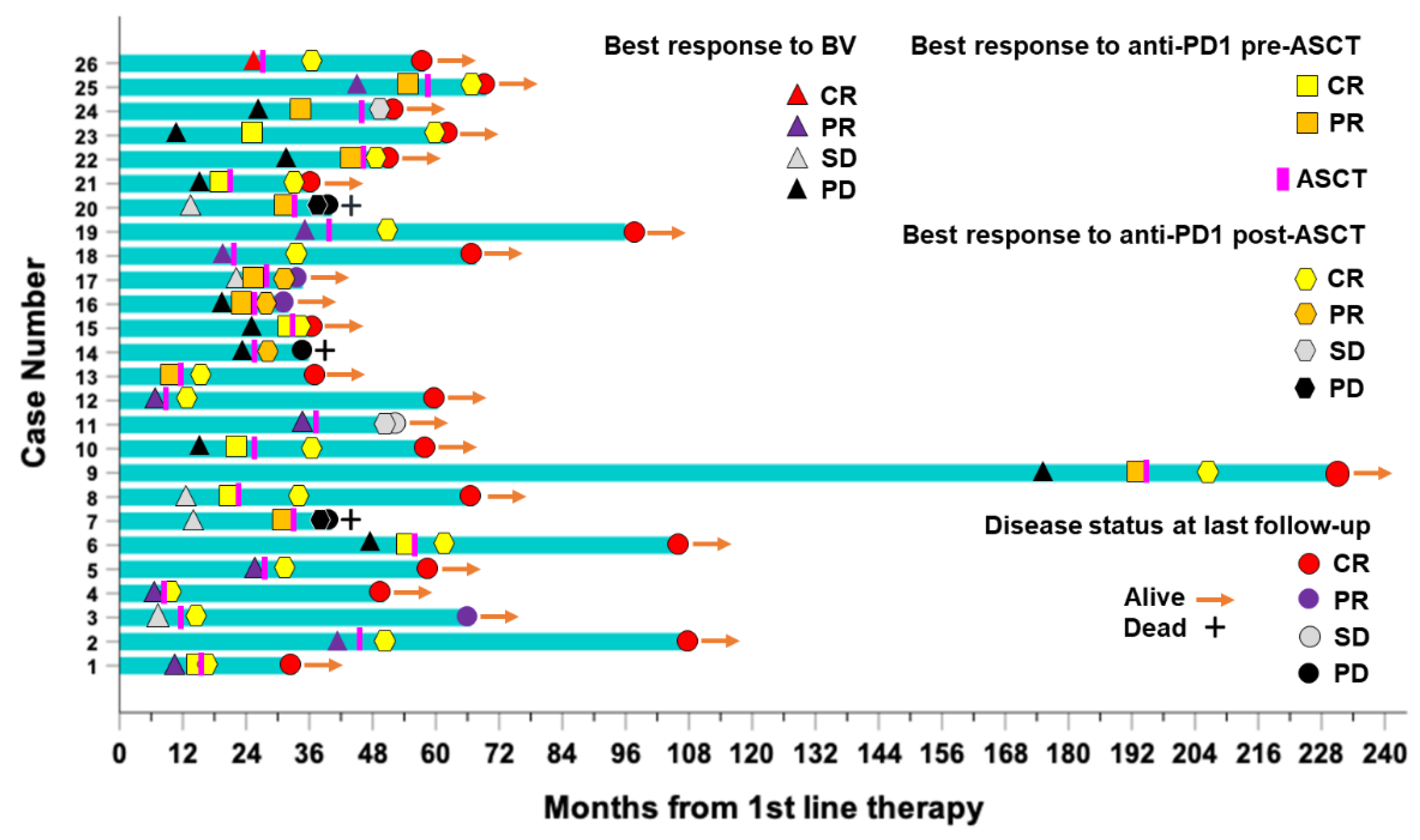 Cancers 14 05846 g005 Cancers 14 05846 g005