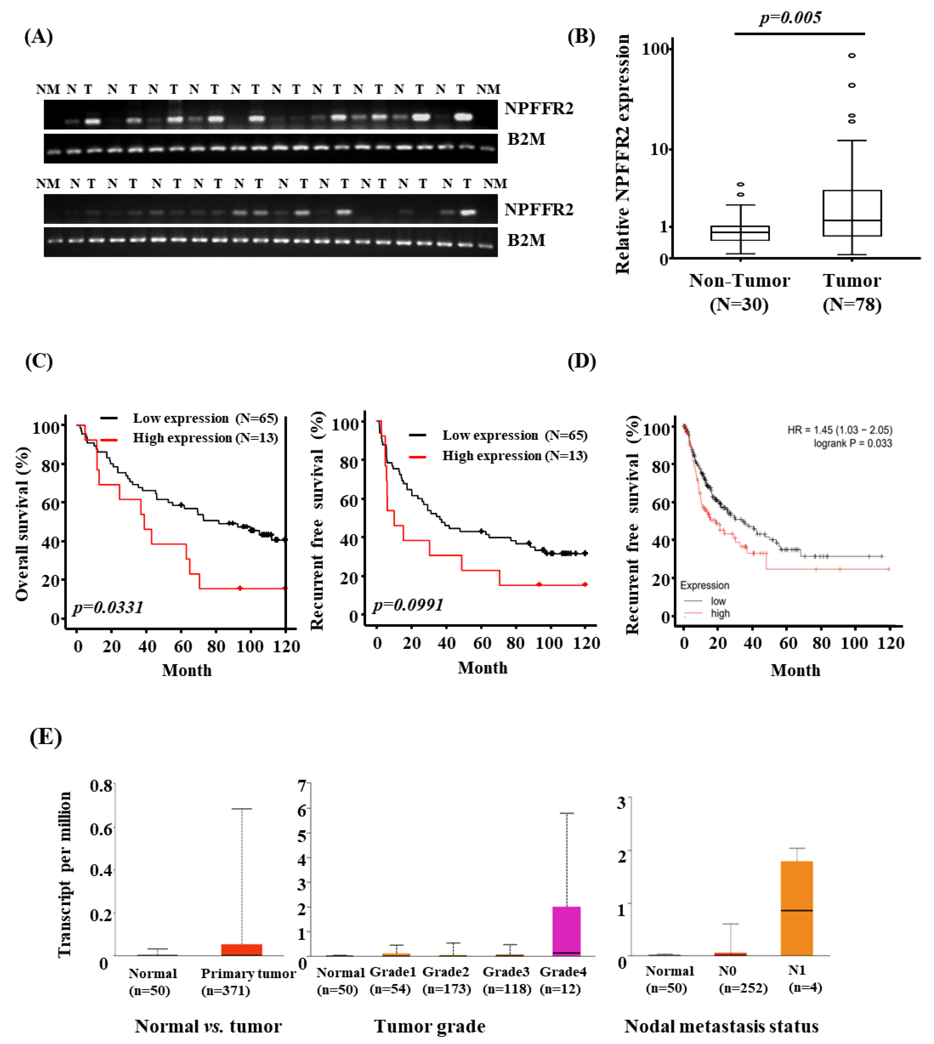 Cancers 14 05850 g001