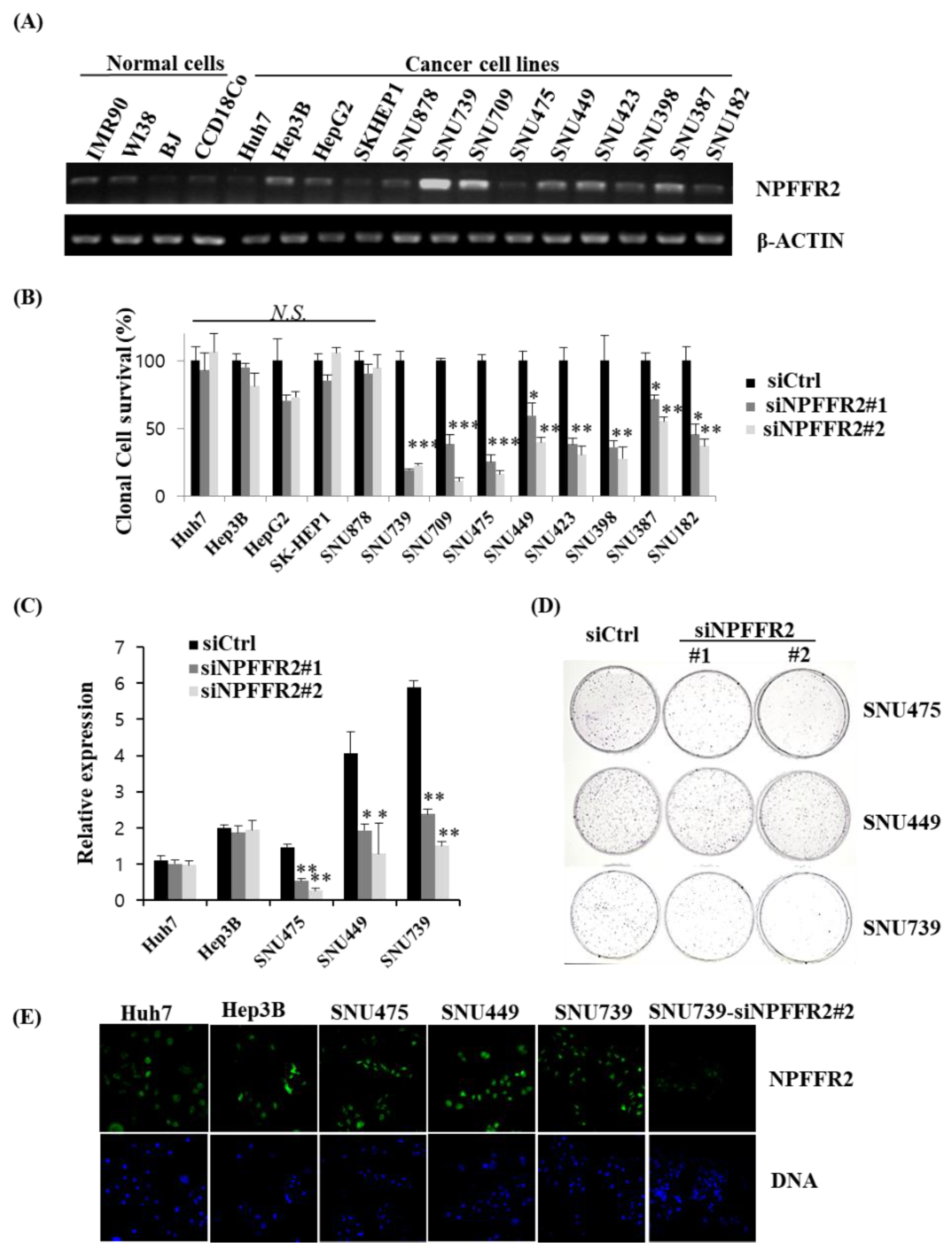 Cancers 14 05850 g002