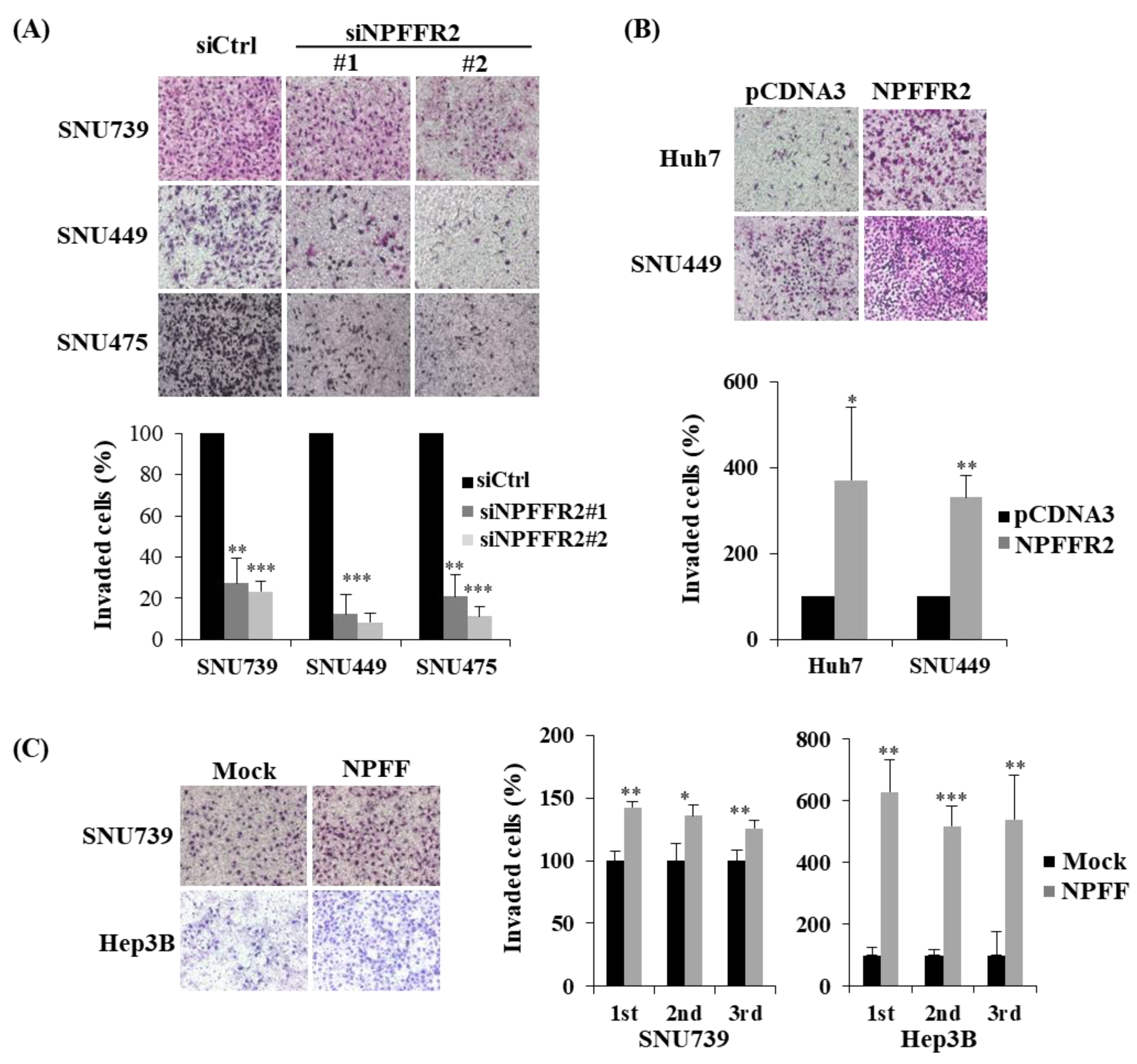Cancers 14 05850 g003