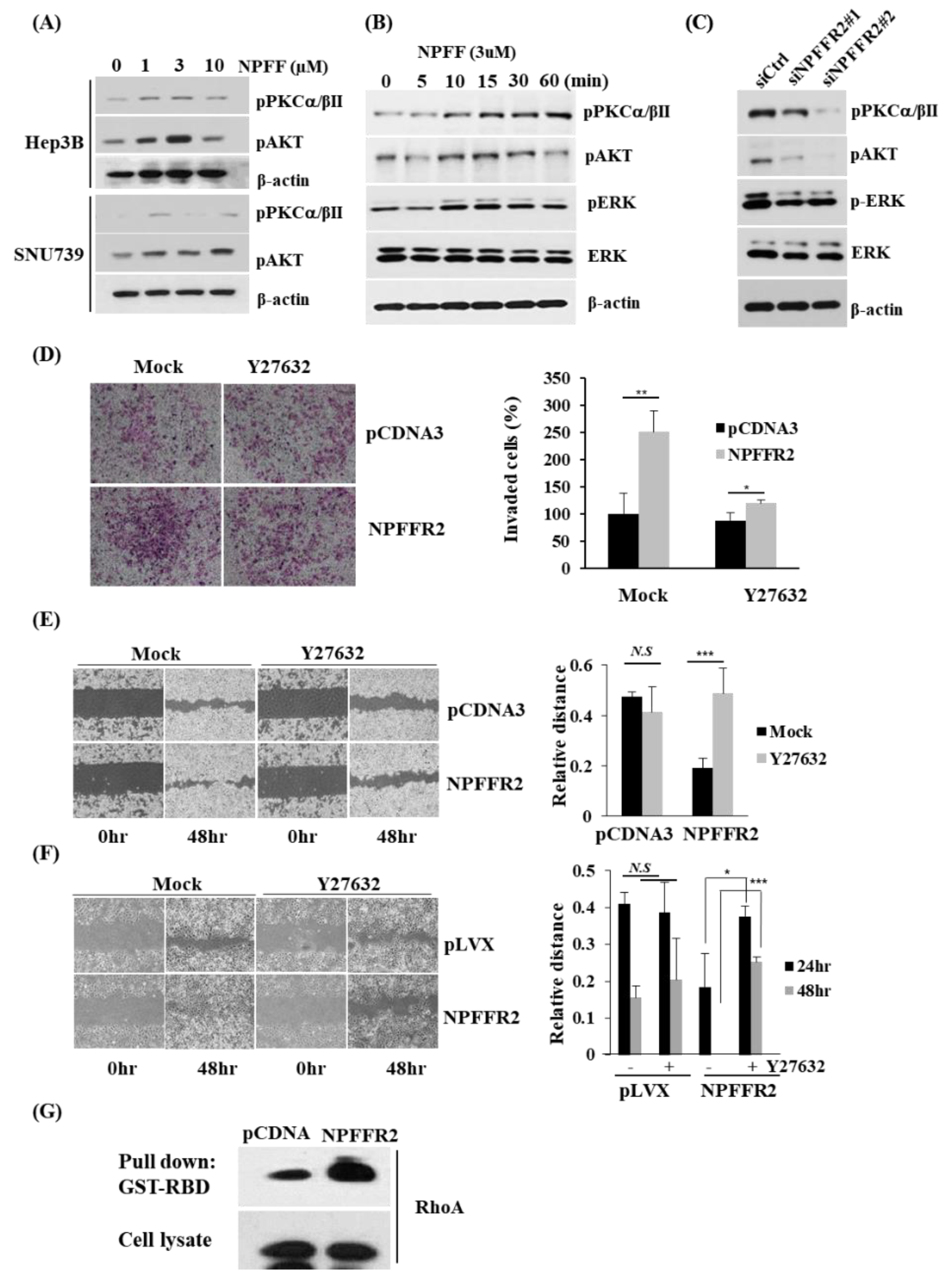 Cancers 14 05850 g005