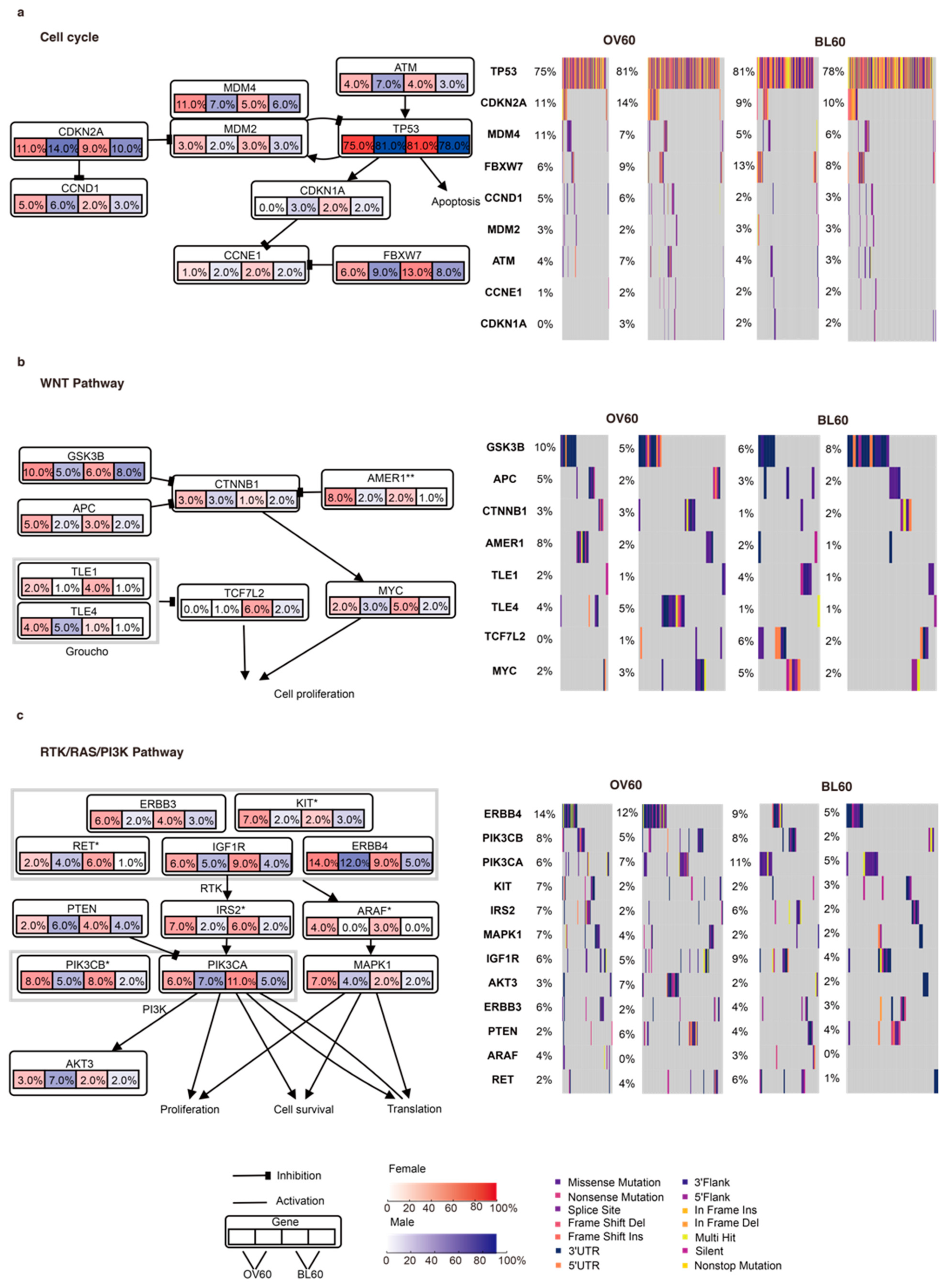 Cancers 14 05854 g001