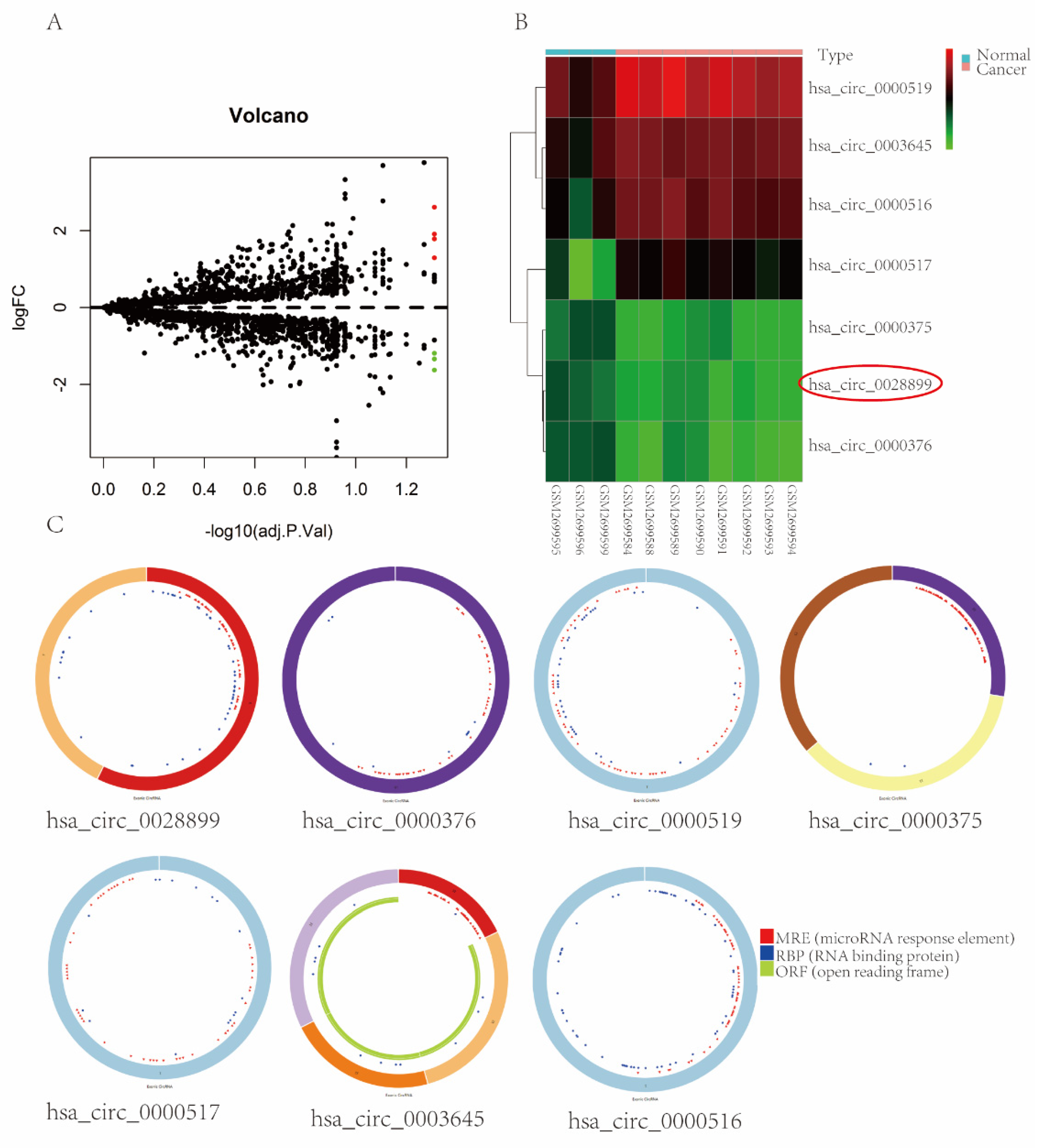 Cancers 14 05862 g001