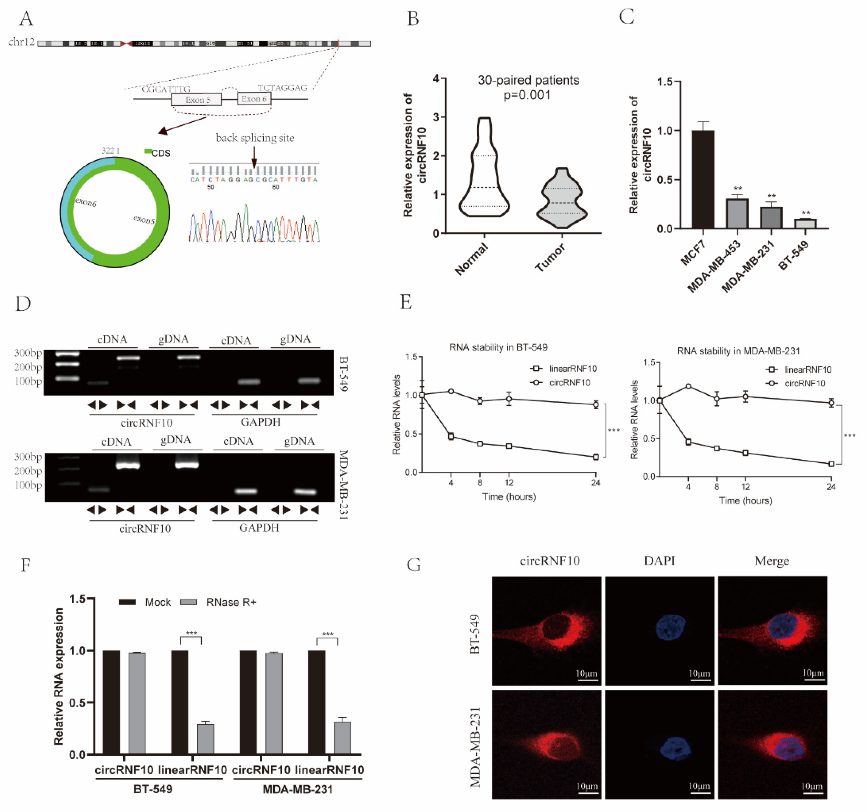Cancers 14 05862 g002
