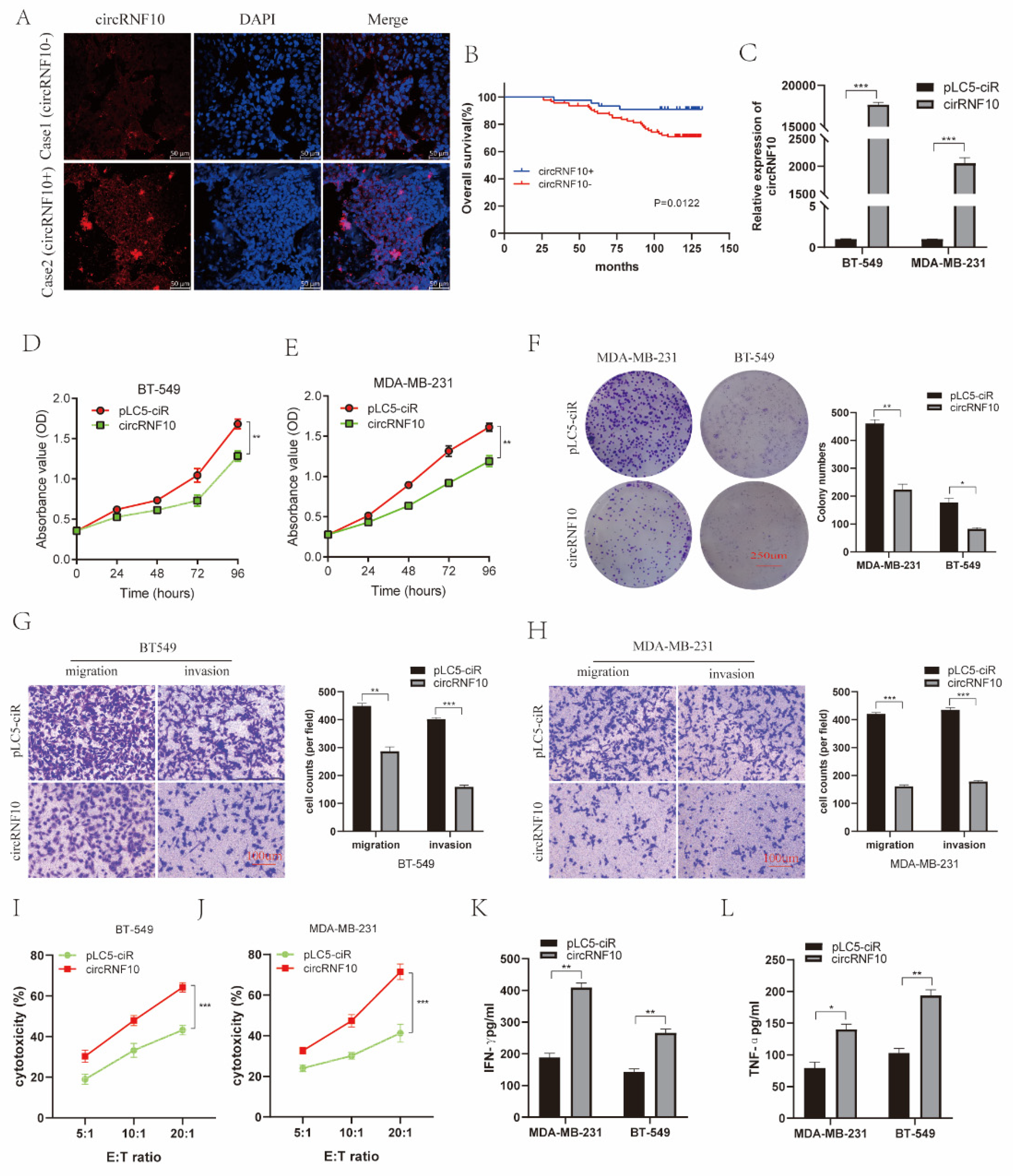 Cancers 14 05862 g003