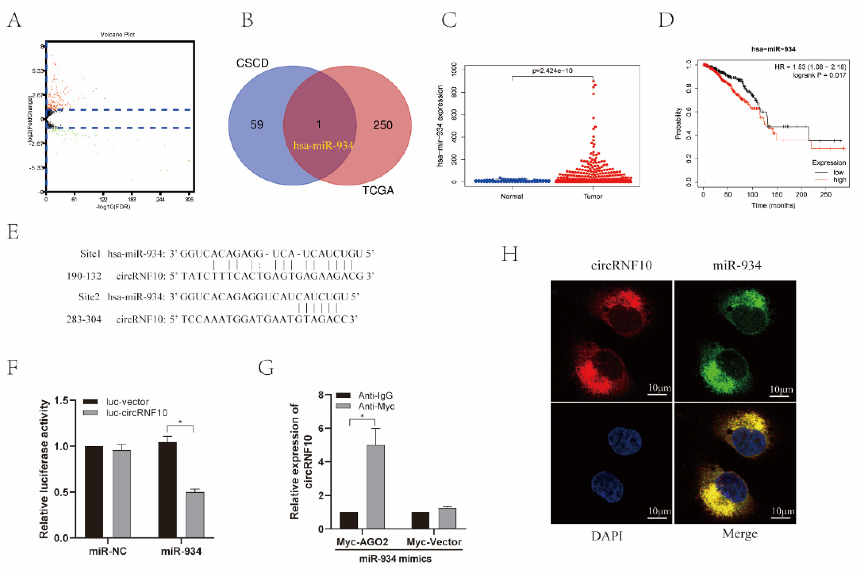 Cancers 14 05862 g004