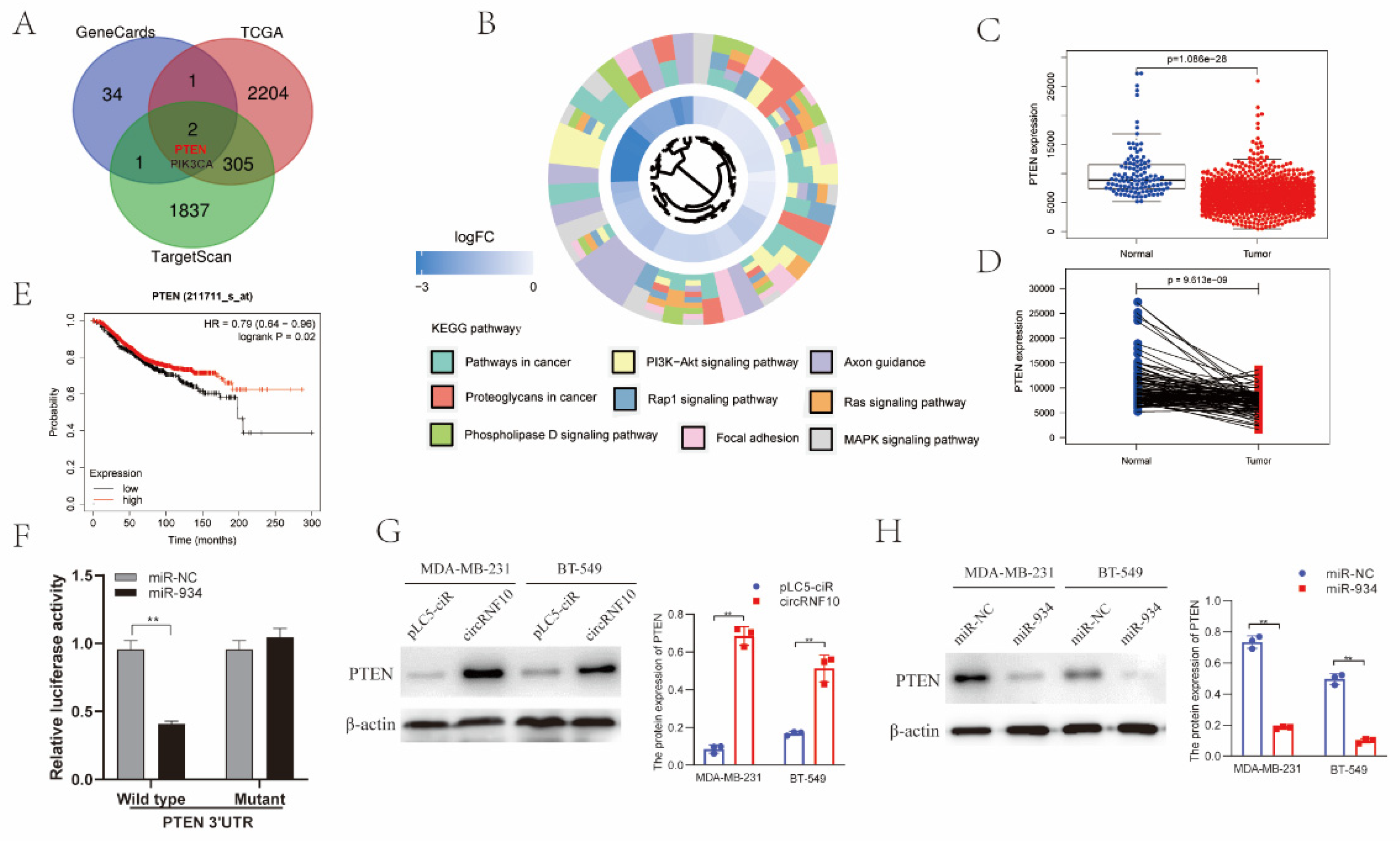 Cancers 14 05862 g006