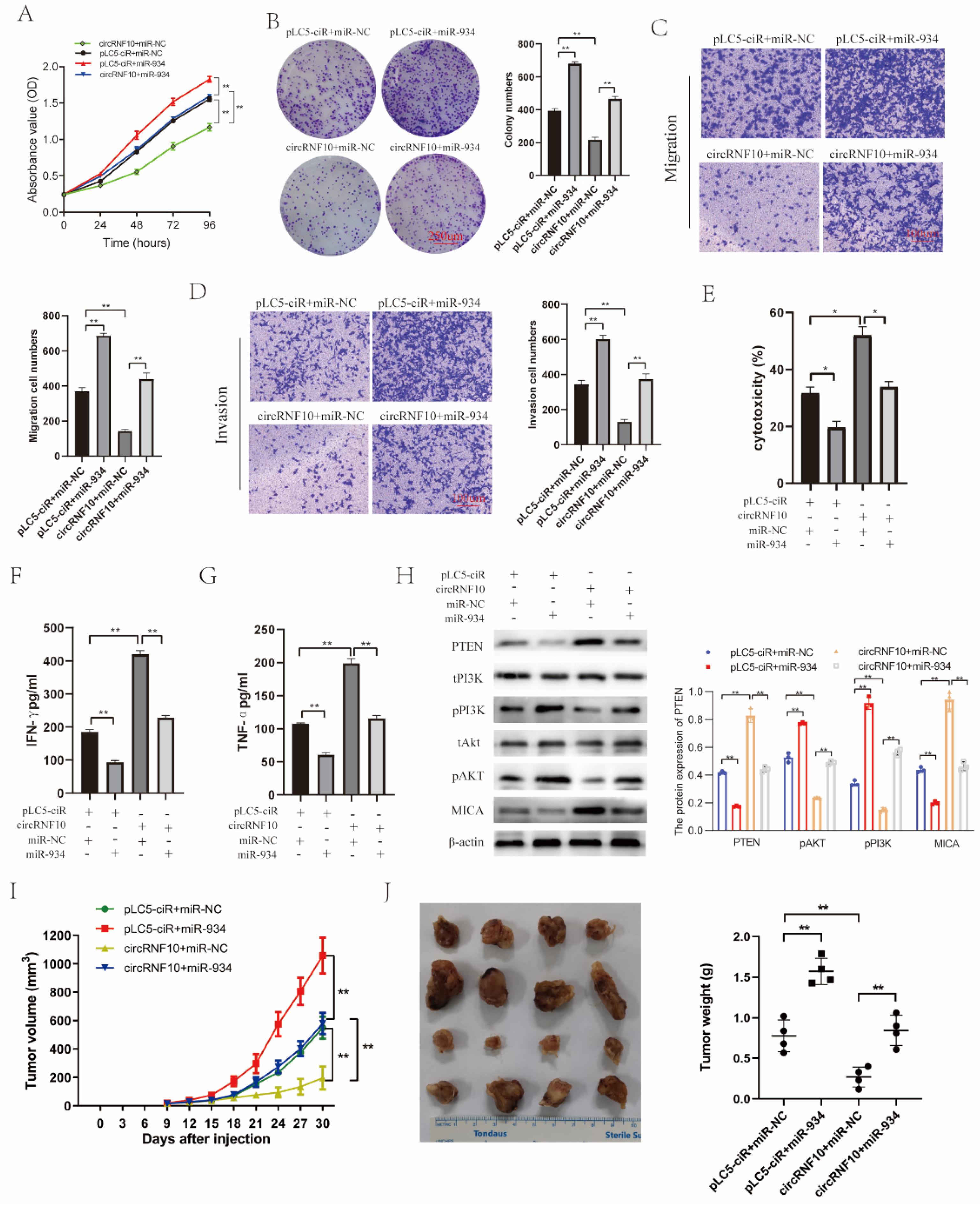 Cancers 14 05862 g007