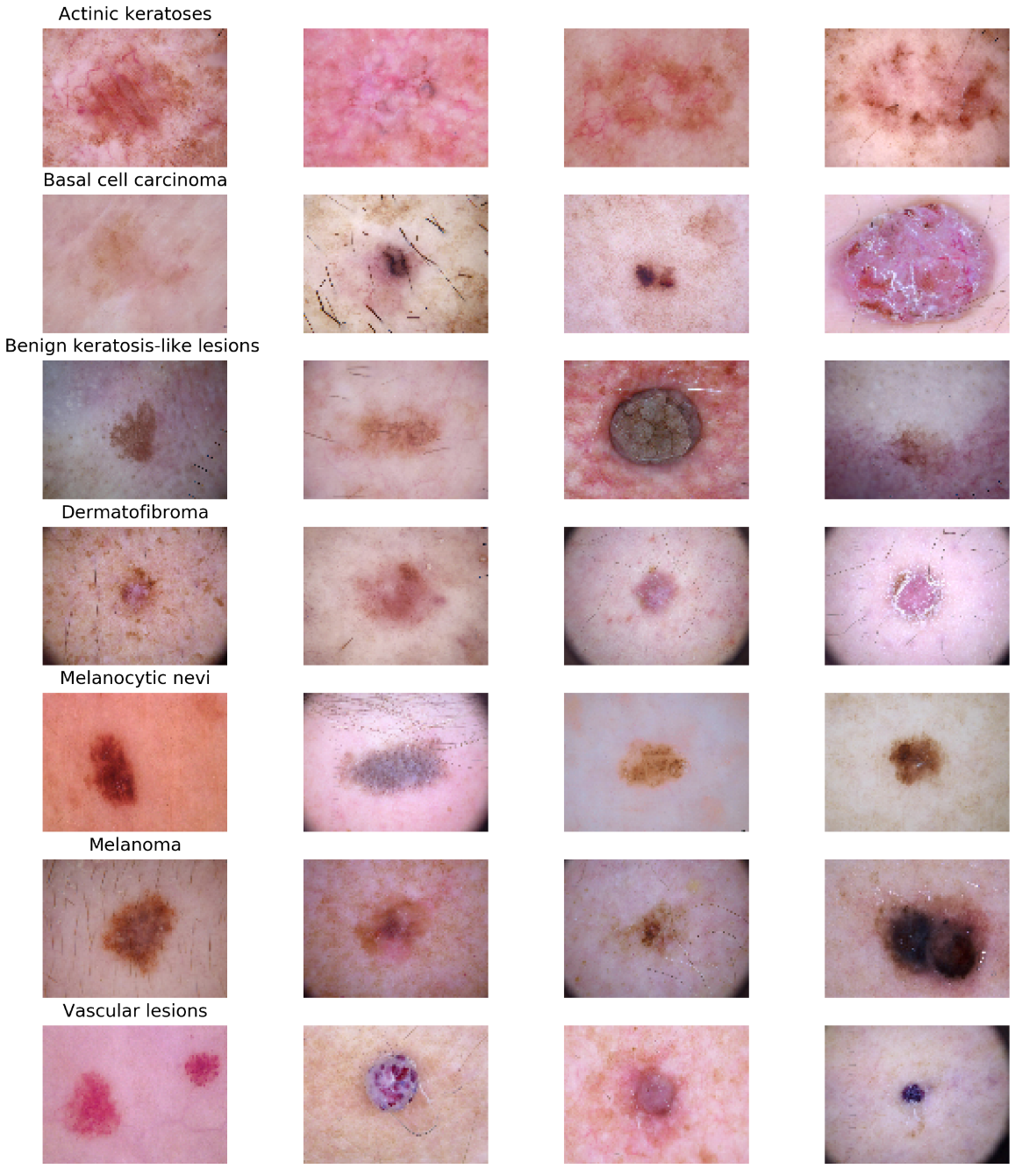 Cancers 14 05872 g004