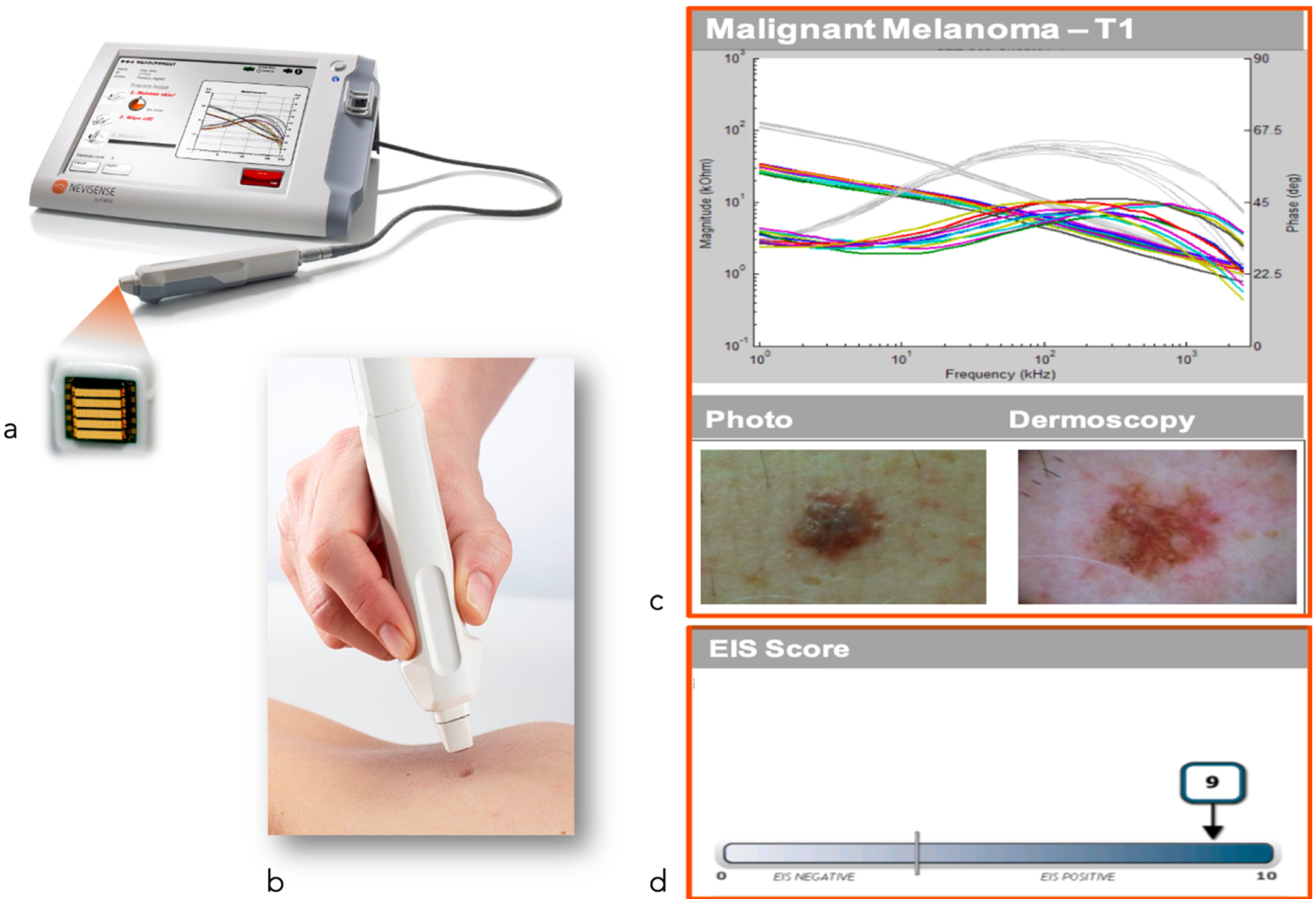 Cancers 14 05886 g013 Cancers 14 05886 g013