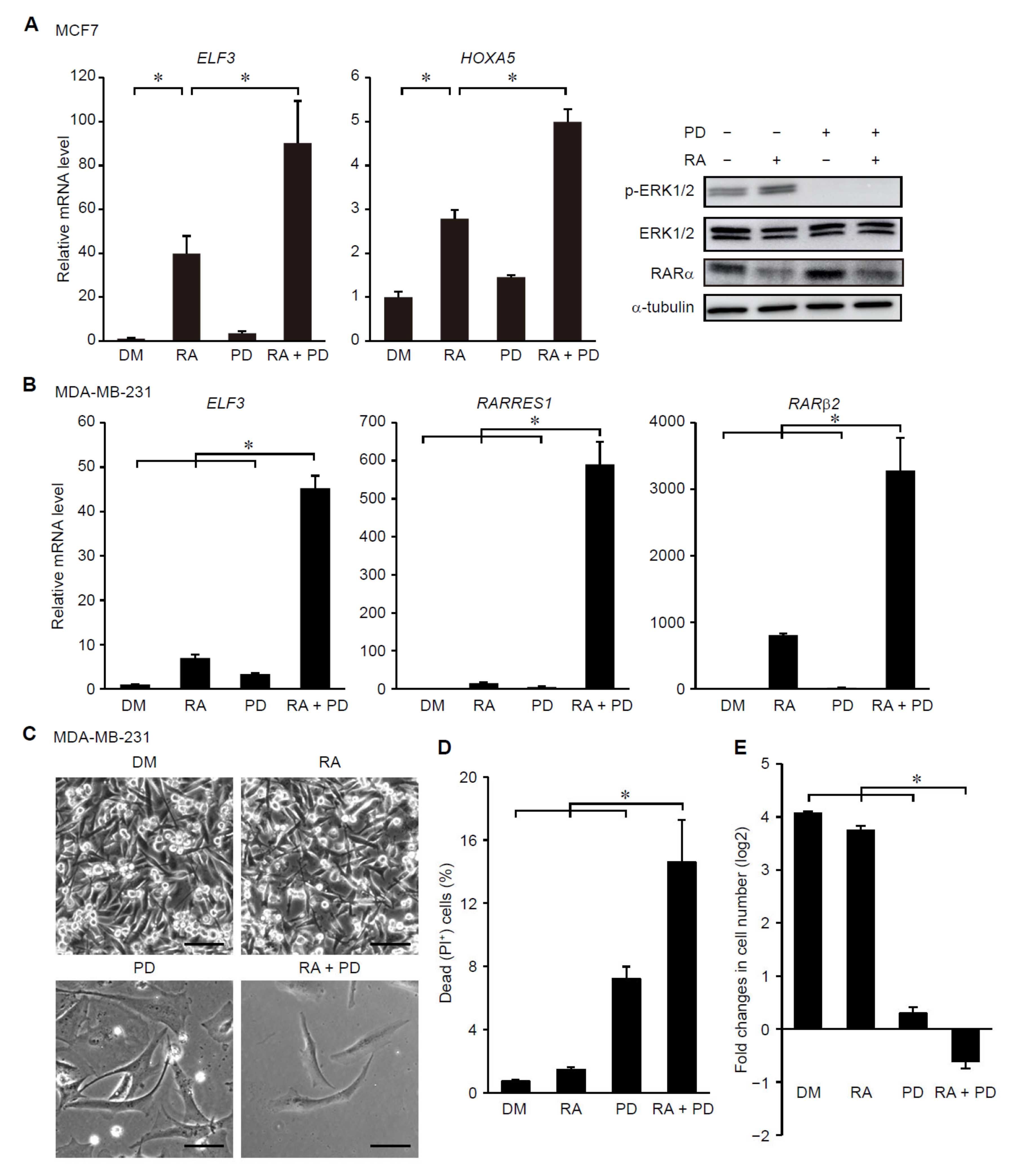 Cancers 14 05890 g002