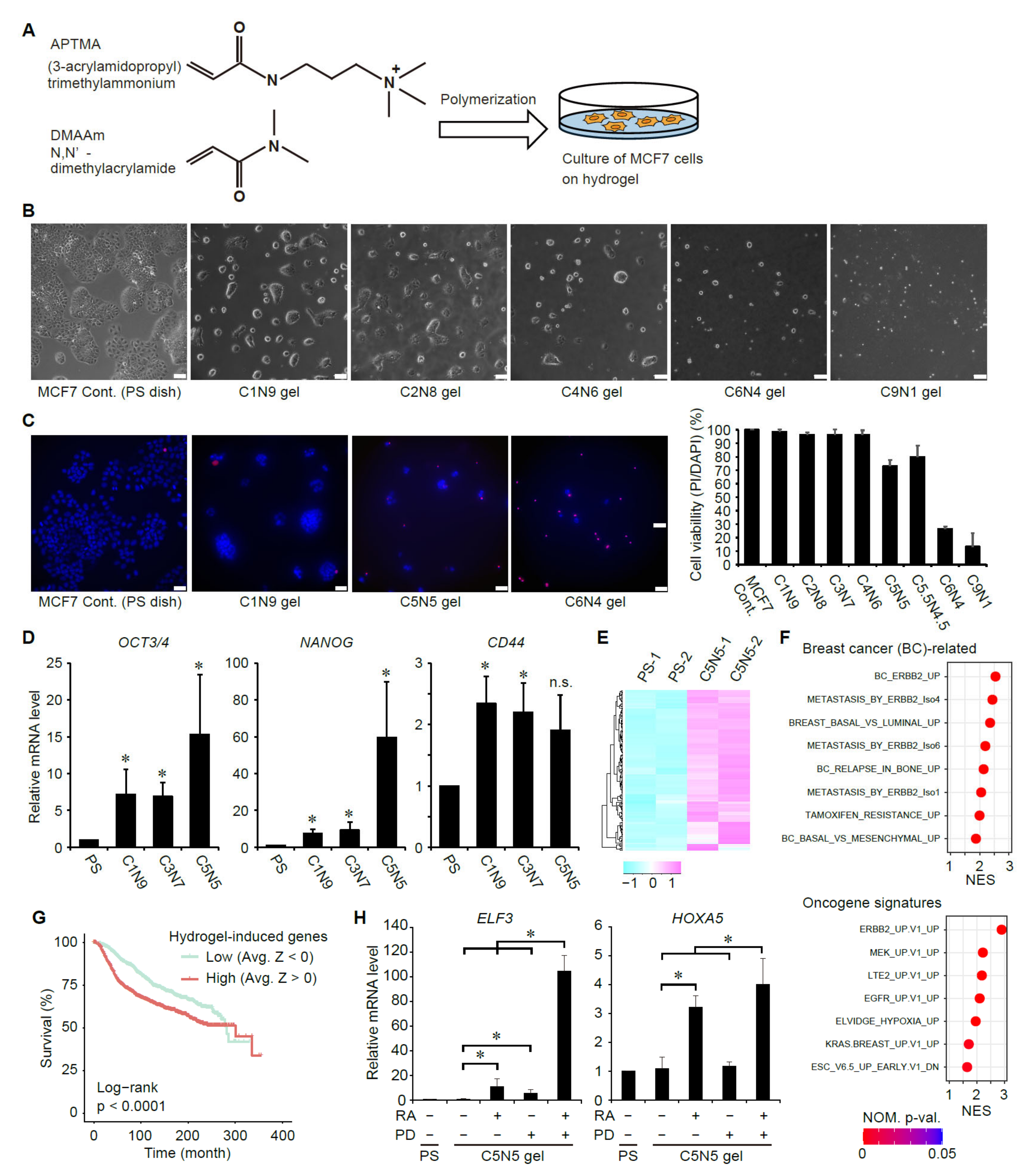 Cancers 14 05890 g004