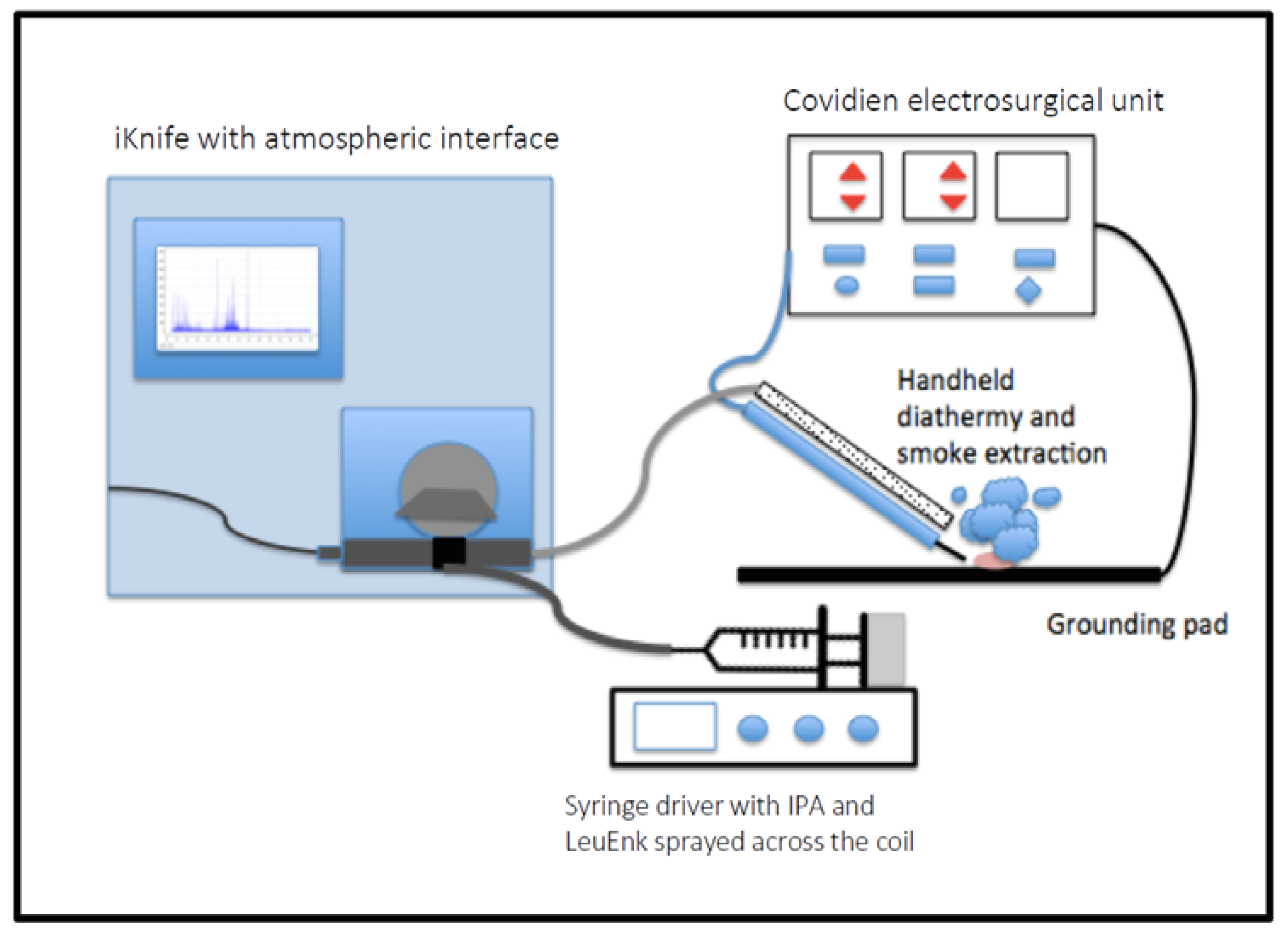 Cancers 14 05892 g001