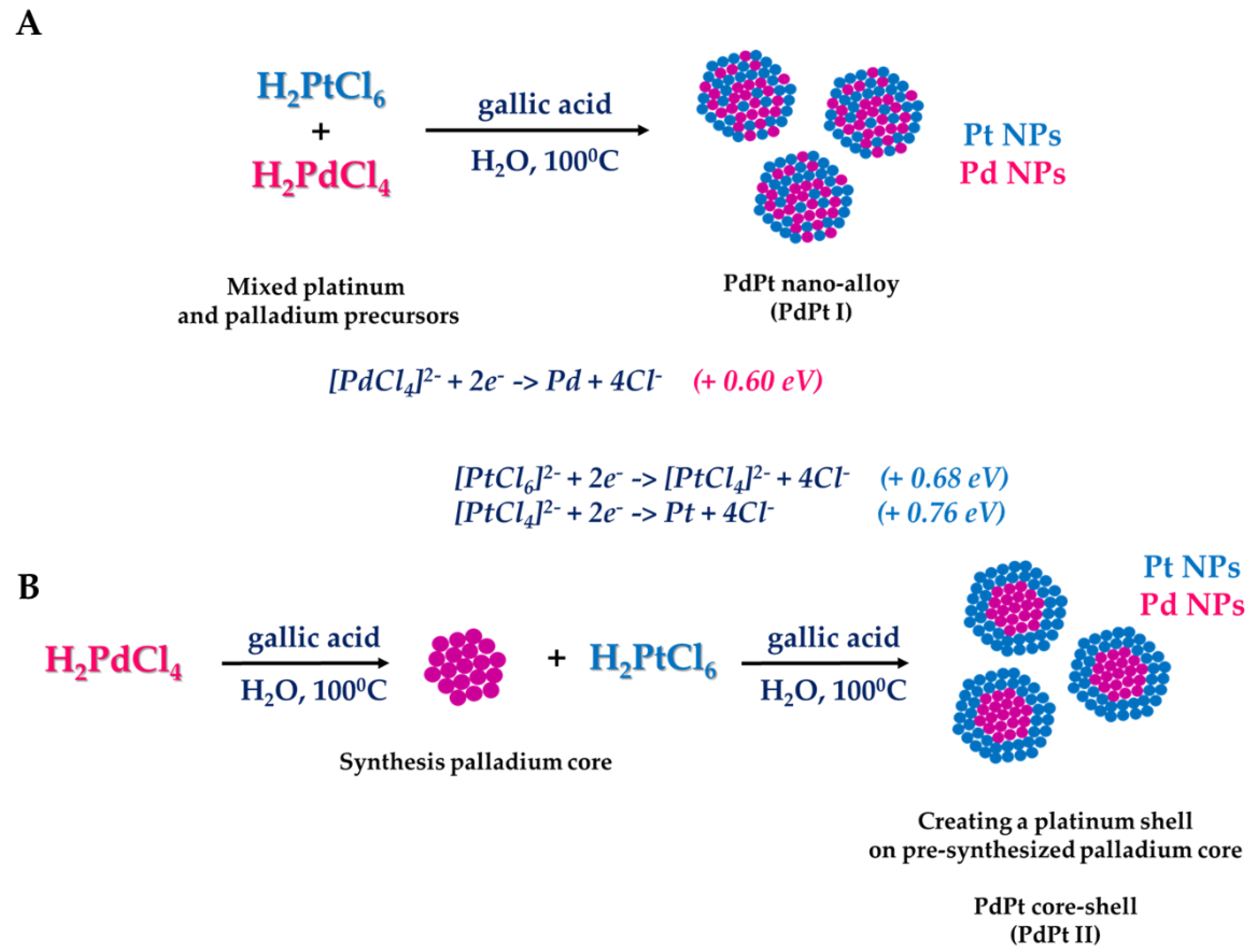 Cancers 14 05899 g002 Cancers 14 05899 g002